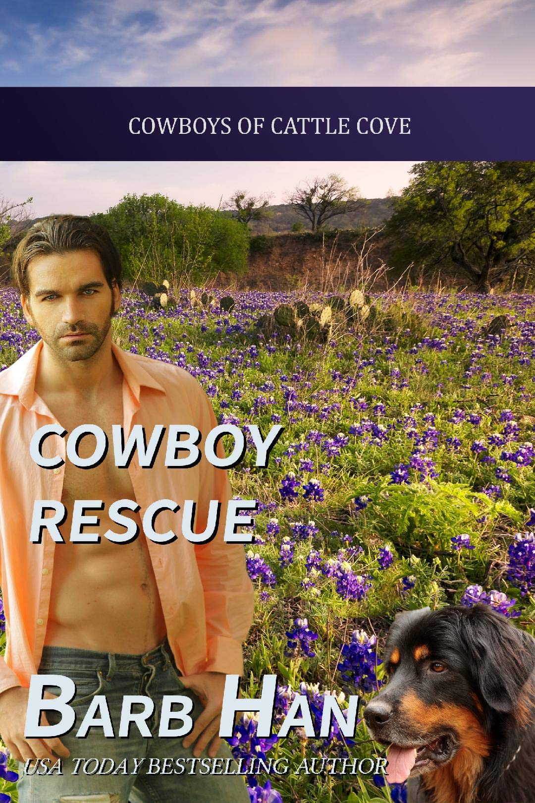Cowboy Rescue book cover