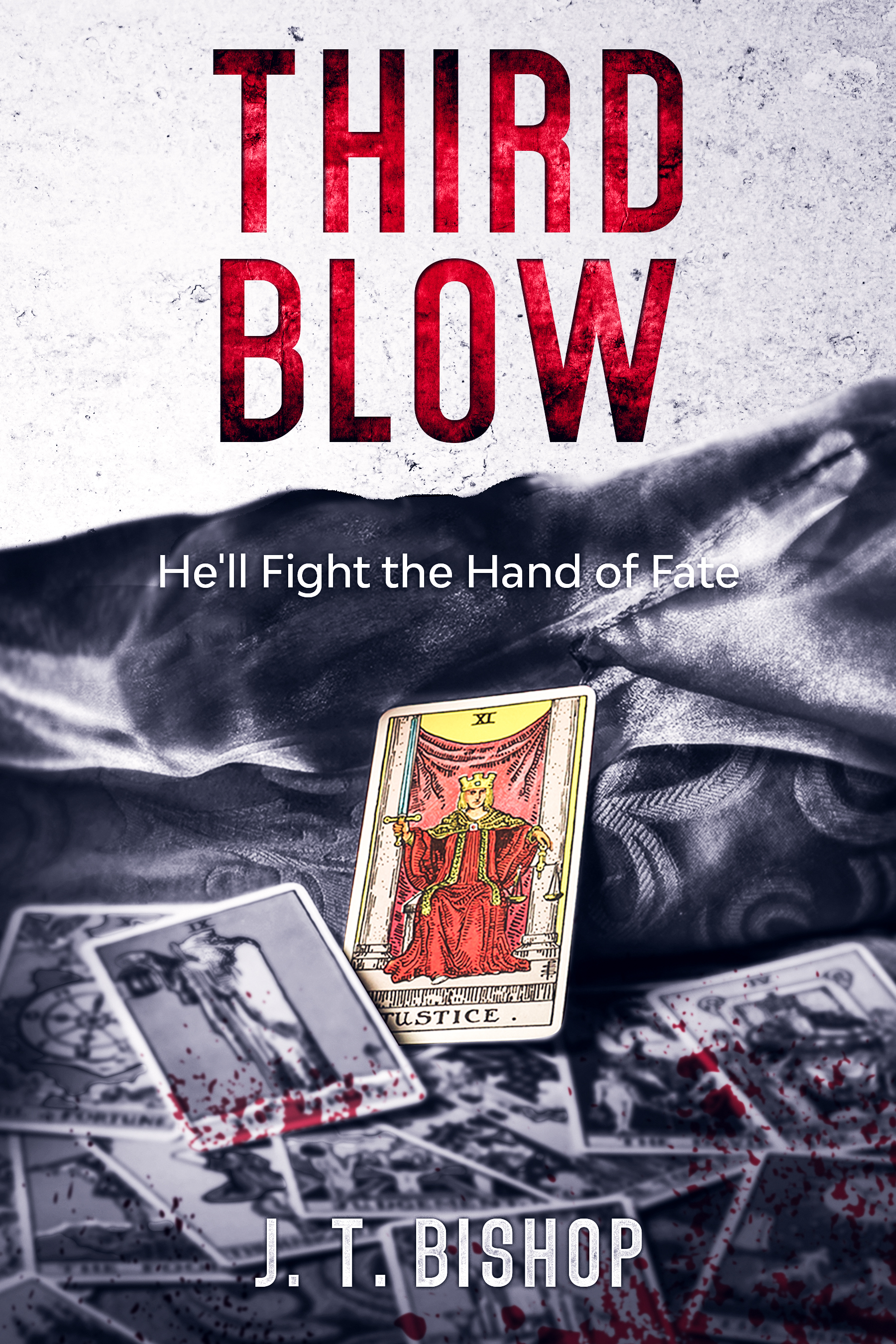 Third Blow book cover