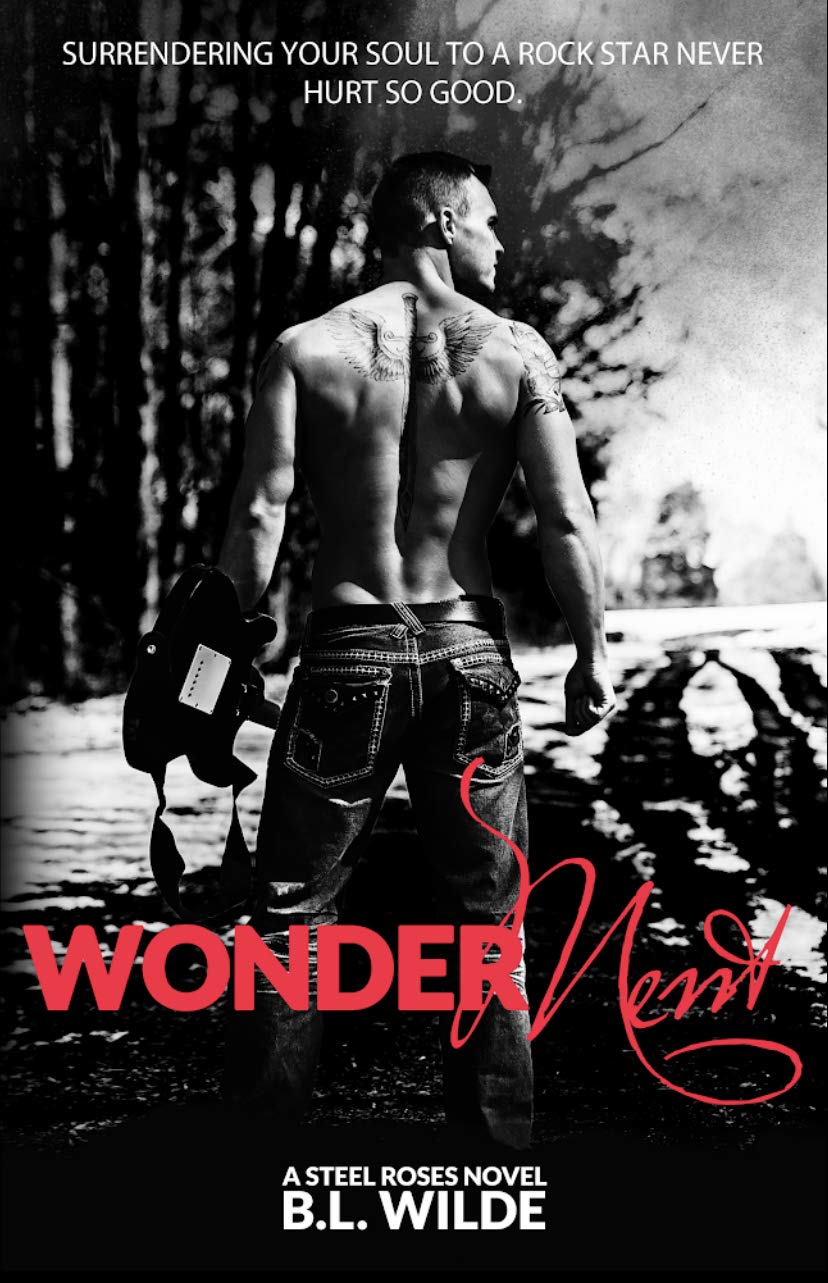 Wonderment book cover