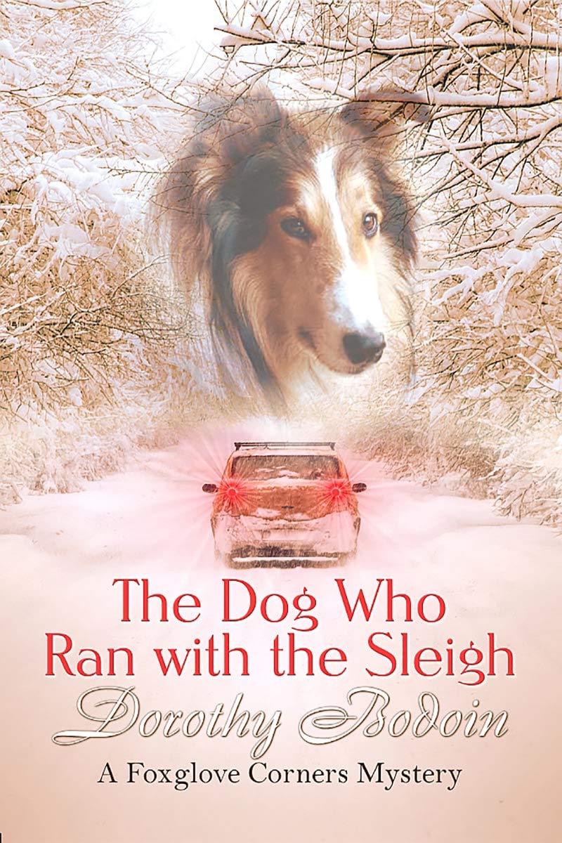 The Dog Who Ran with the Sleigh by Dorothy Bodoin | Goodreads