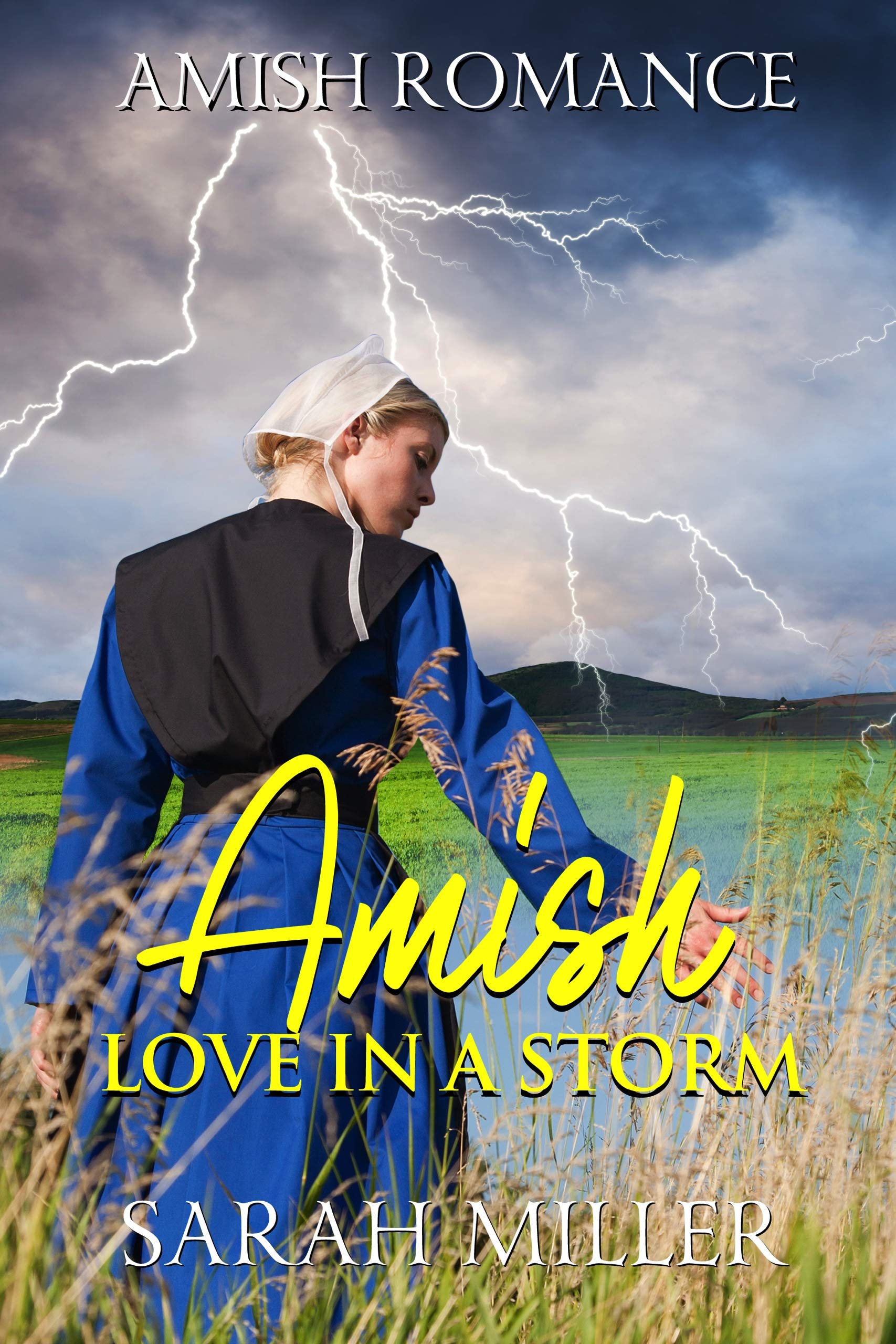 Amish Love in a Storm book cover