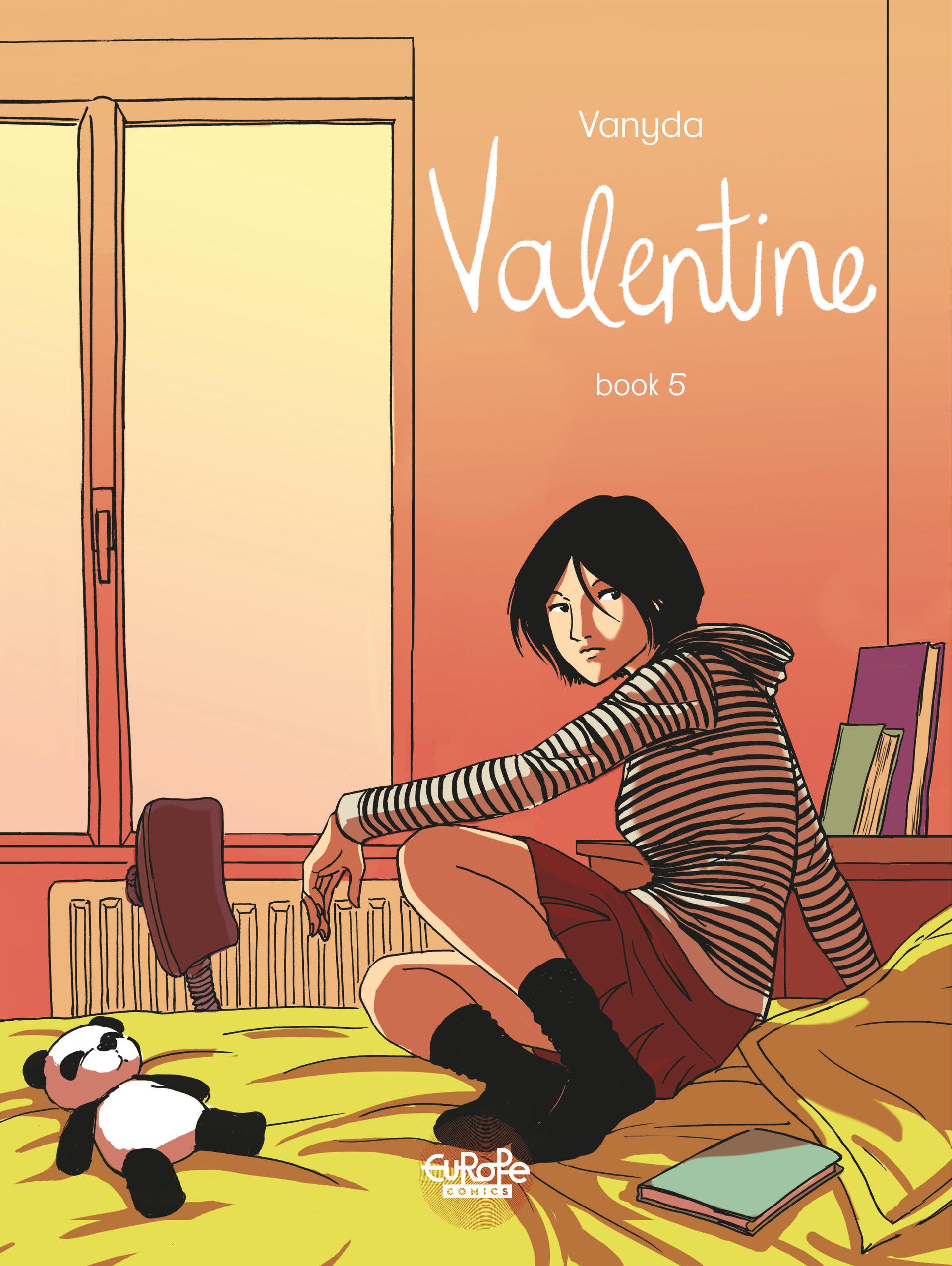 Valentine book cover