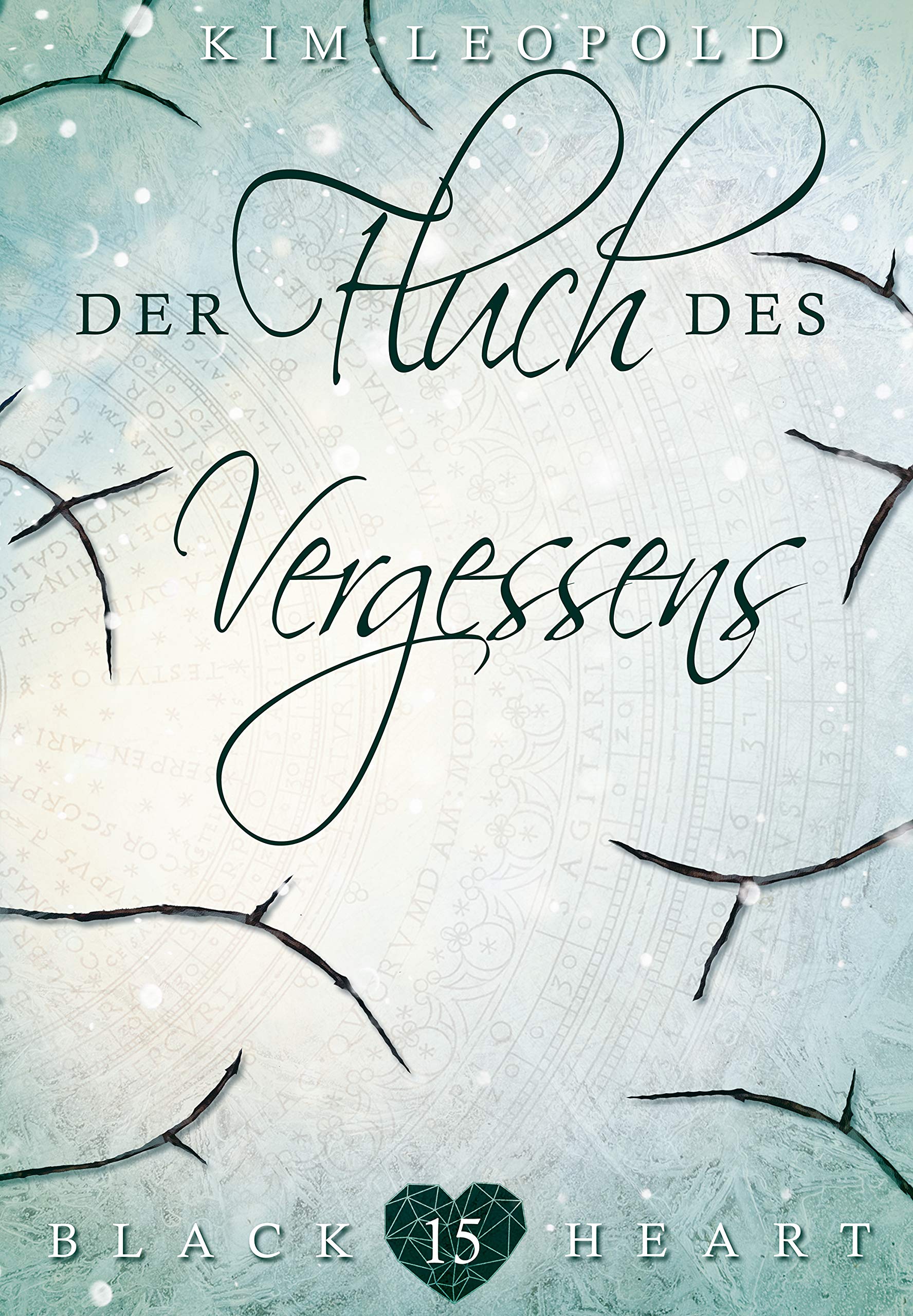 Der Fluch des Vergessens book cover