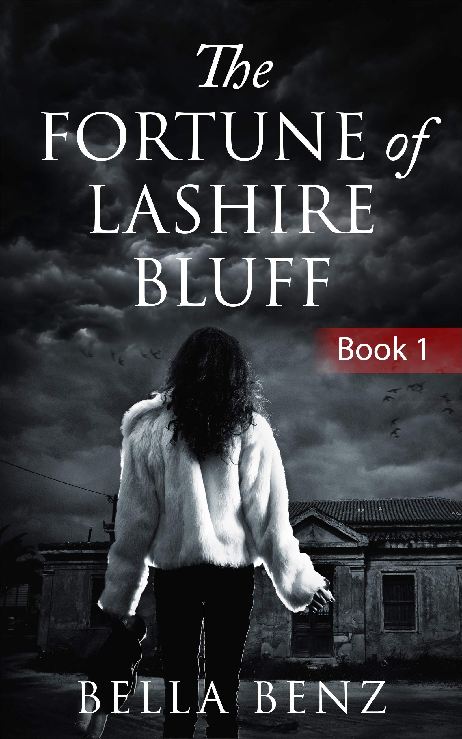 The Fortune of Lashire Bluff (Lashire Bluff, #1).