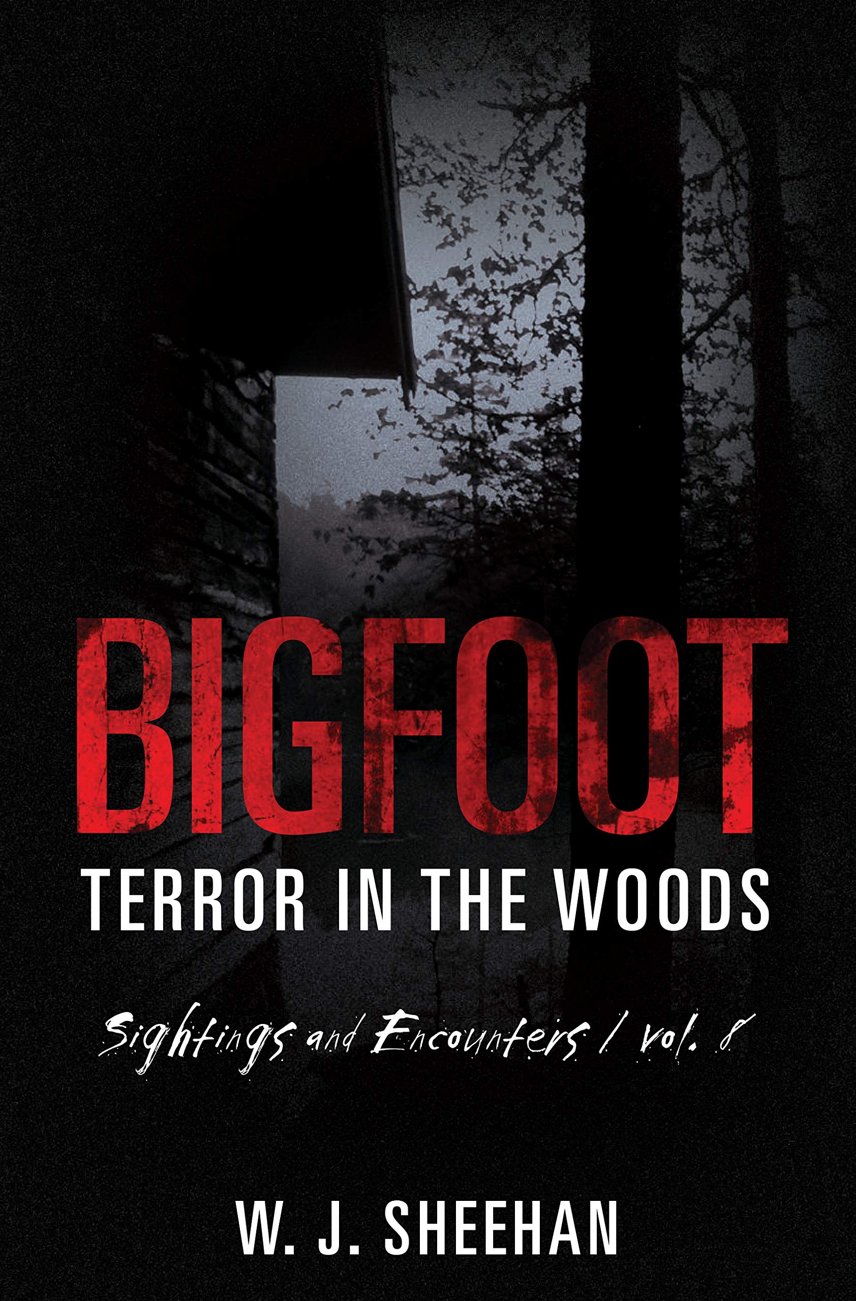 Sightings and Encounters, Volume 8