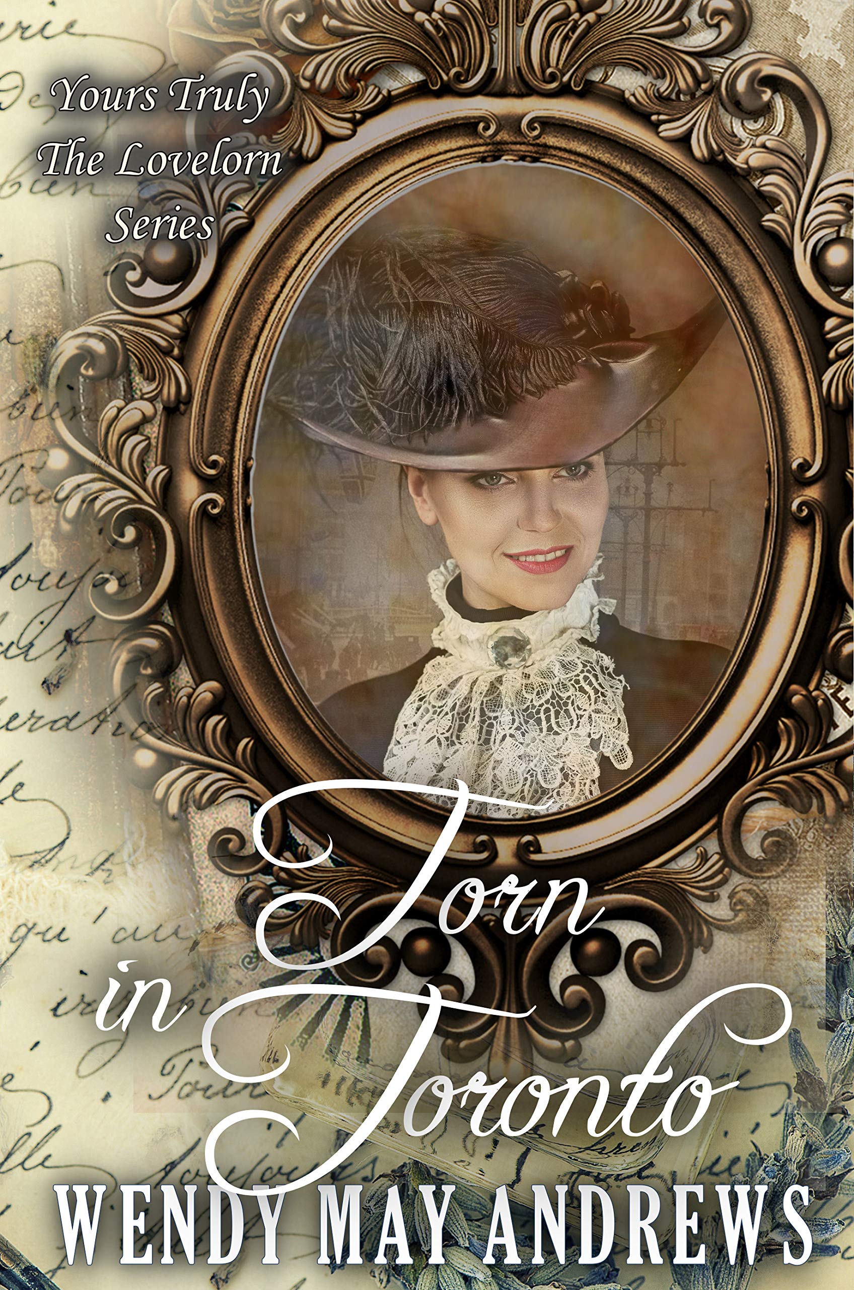 Torn in Toronto book cover