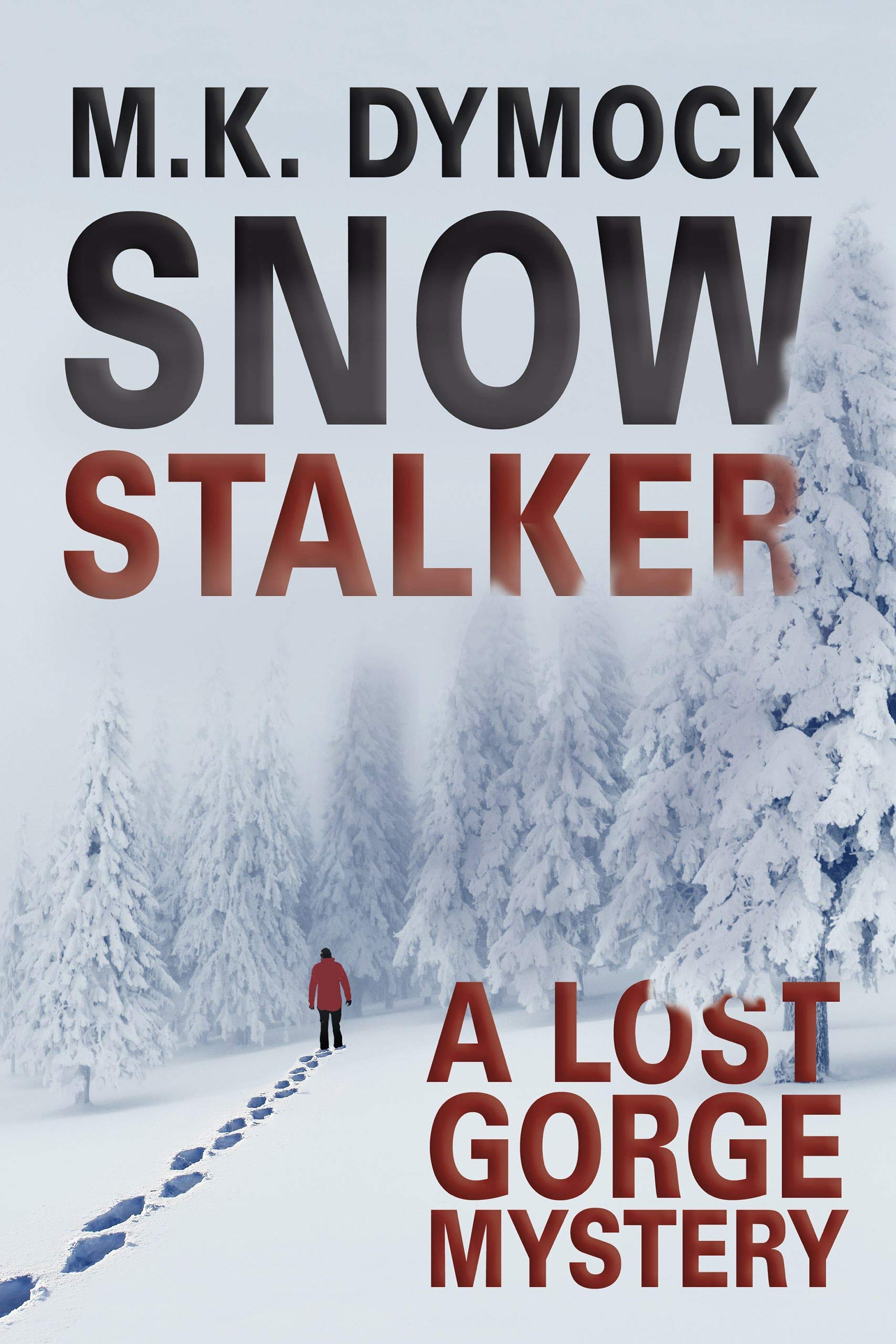 Lost Gorge Mystery book cover 2