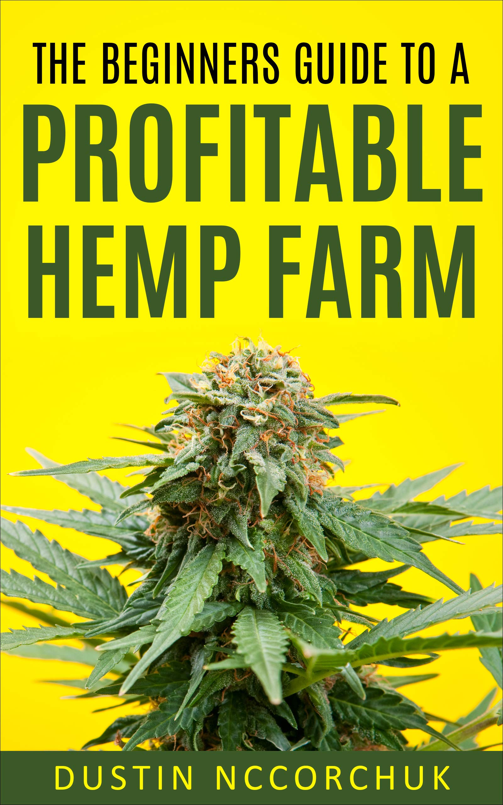 The Beginners Guide to a Profitable Hemp Farm 9 Things You Need to
