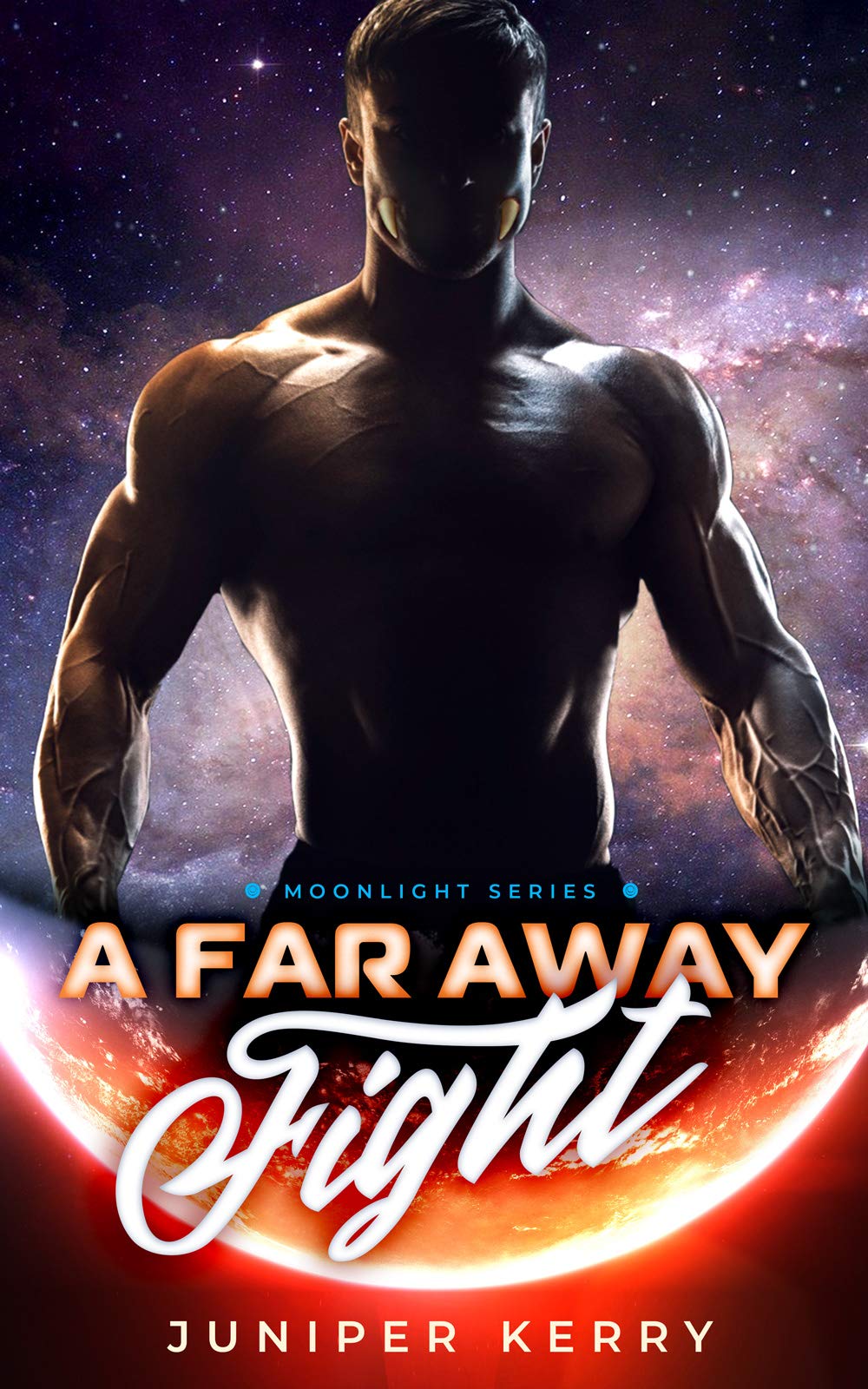 A Far Away Fight book cover