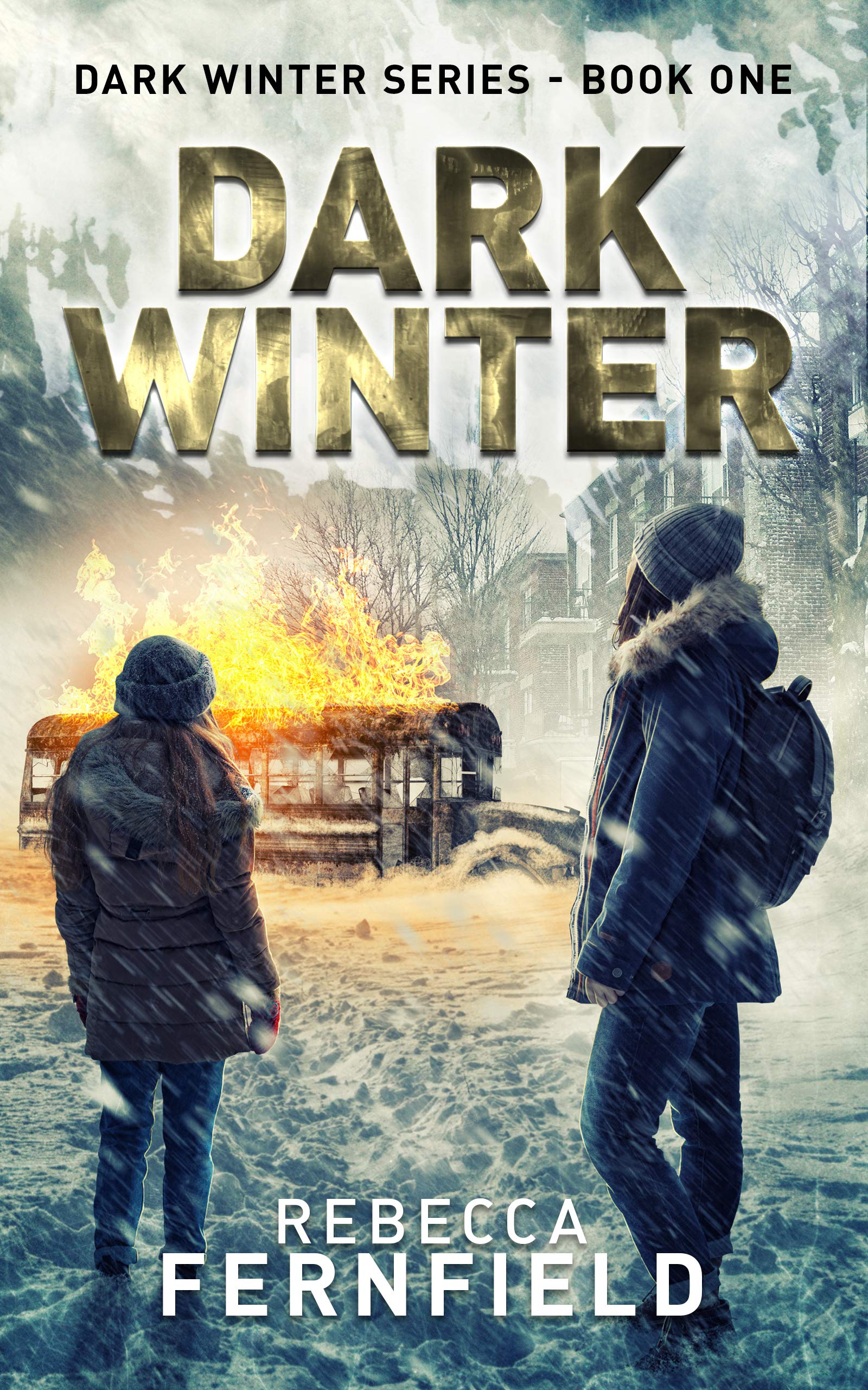 Dark Winter: An EMP Adventure & Survival Thriller