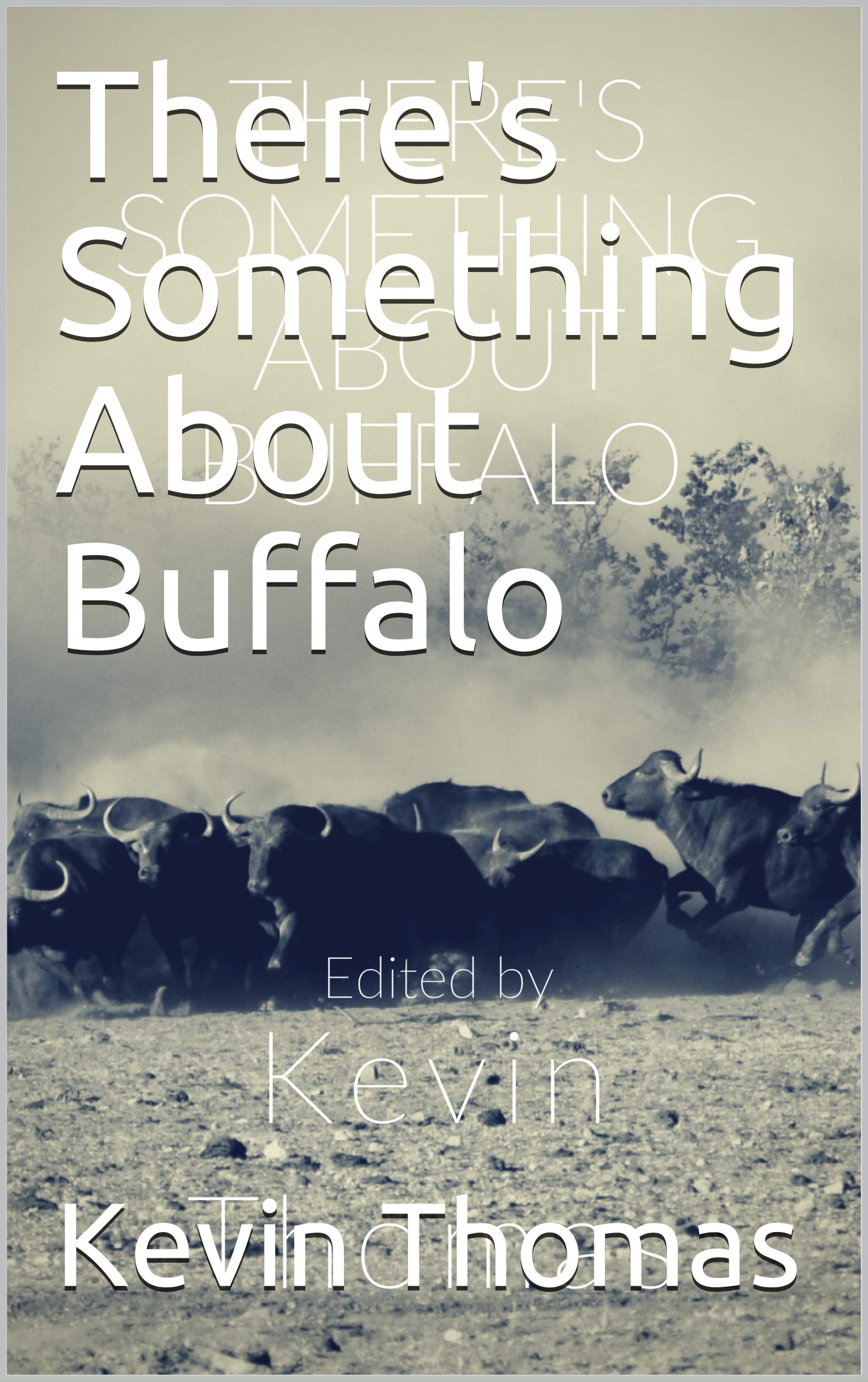 There's Something About Buffalo