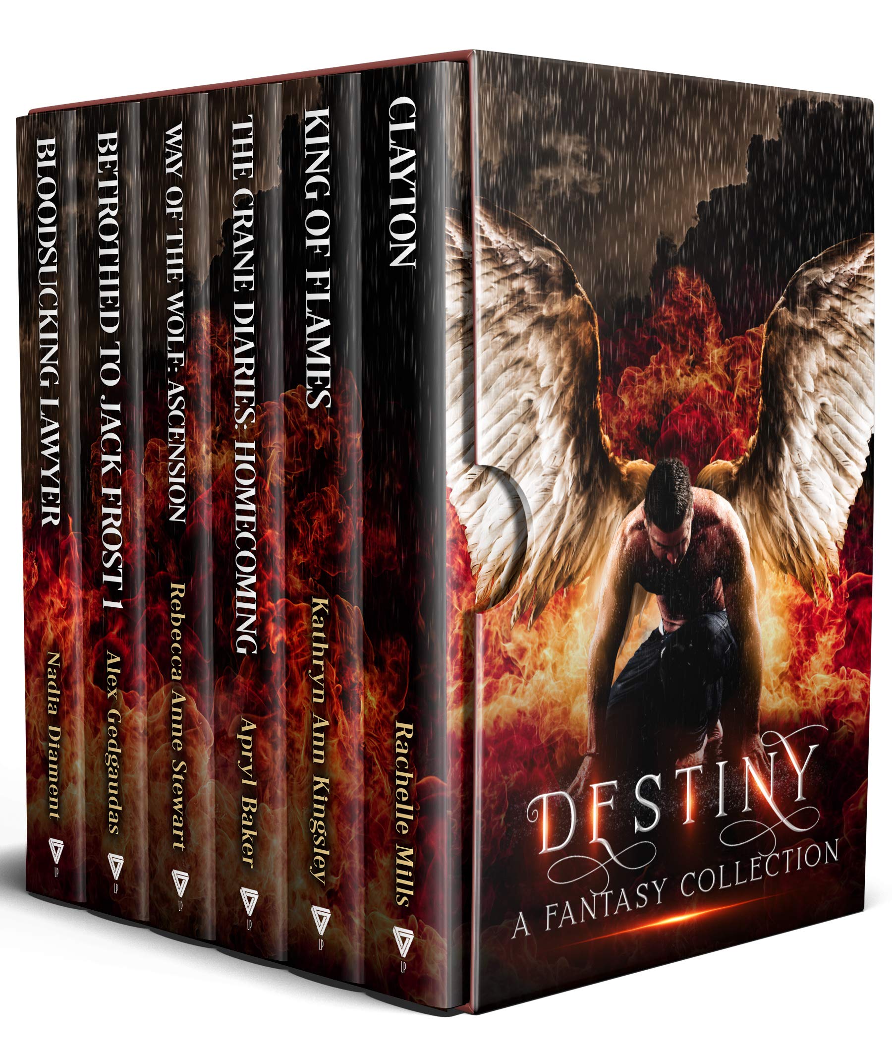 Destiny book cover