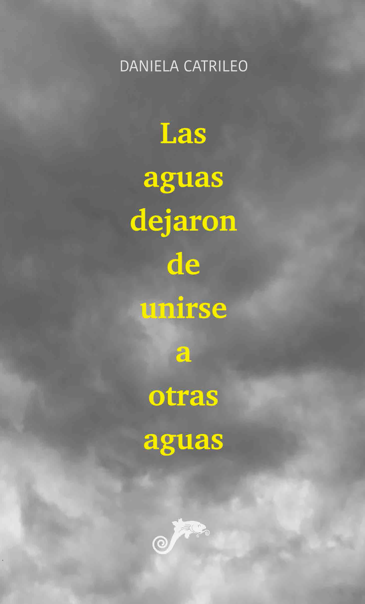 Las aguas dejaron de unirse a otras aguas book cover