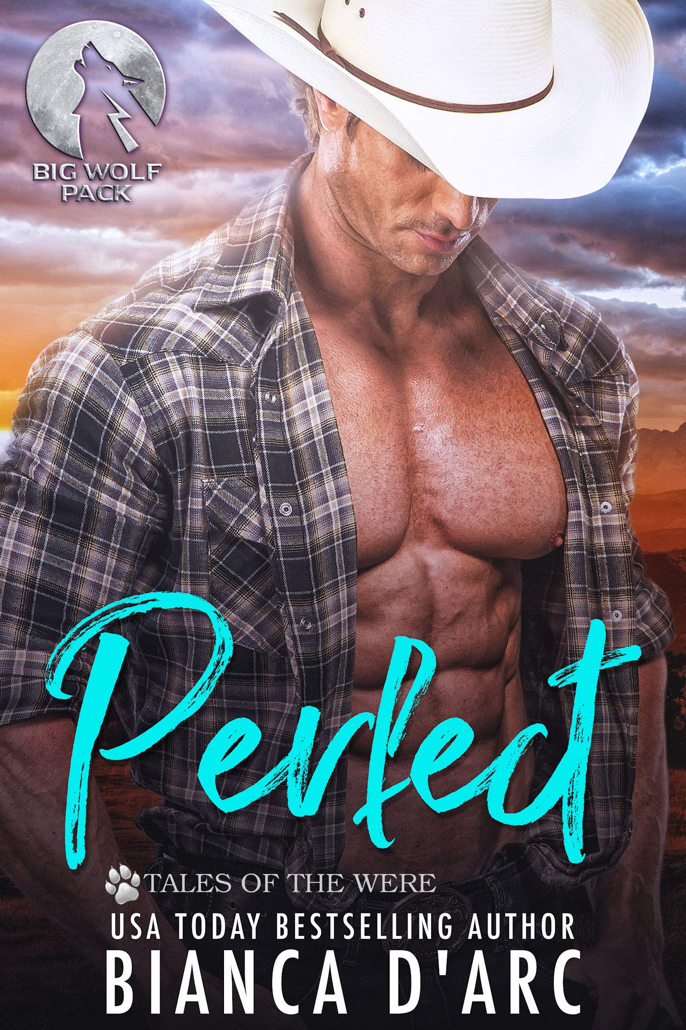 Gone Country book cover 1