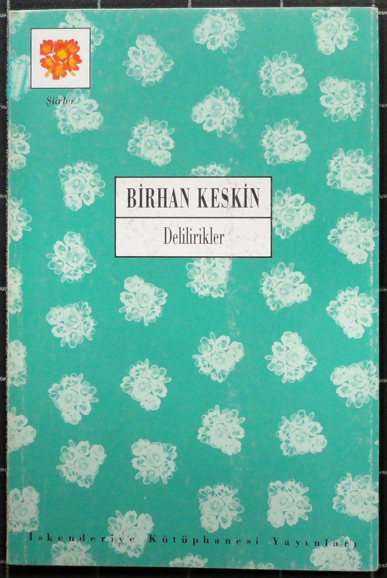 Delilirikler book cover