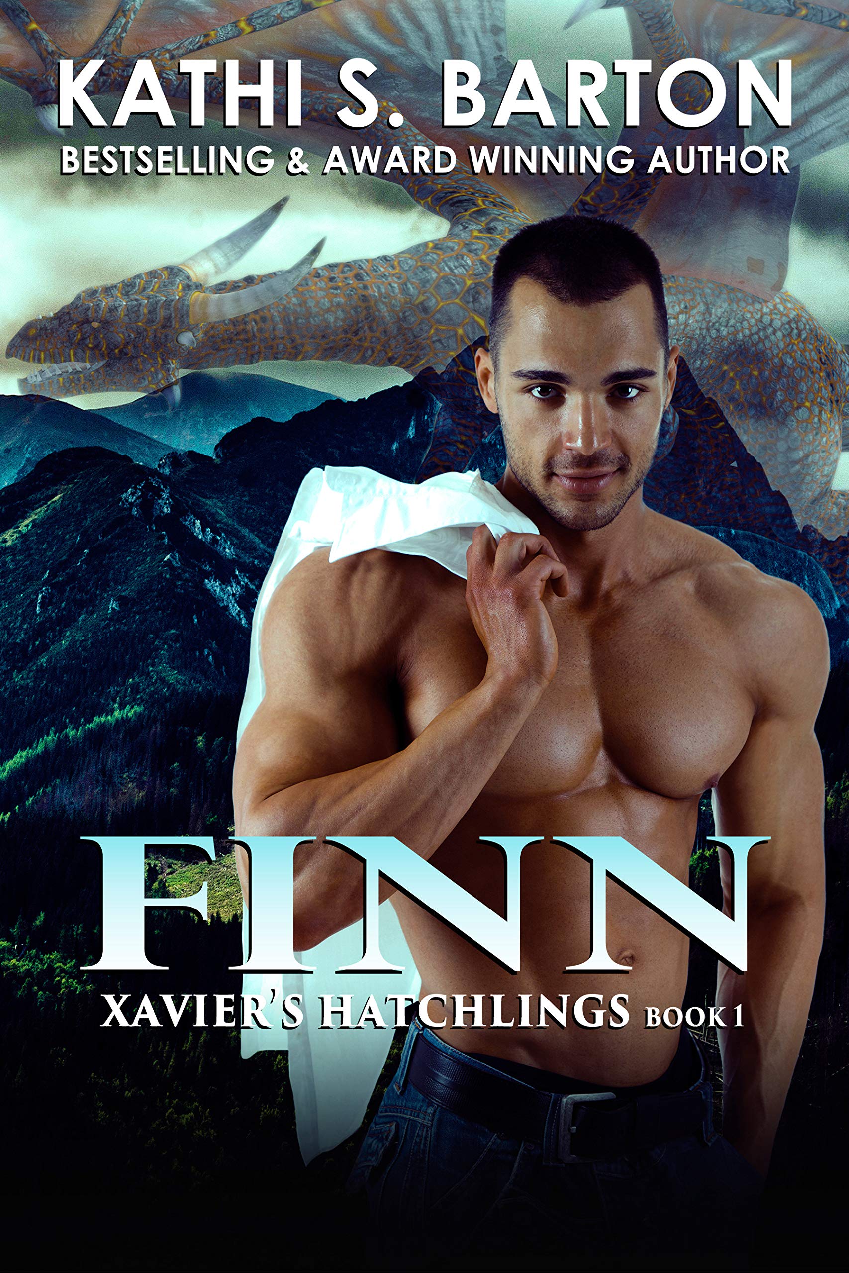 Finn book cover