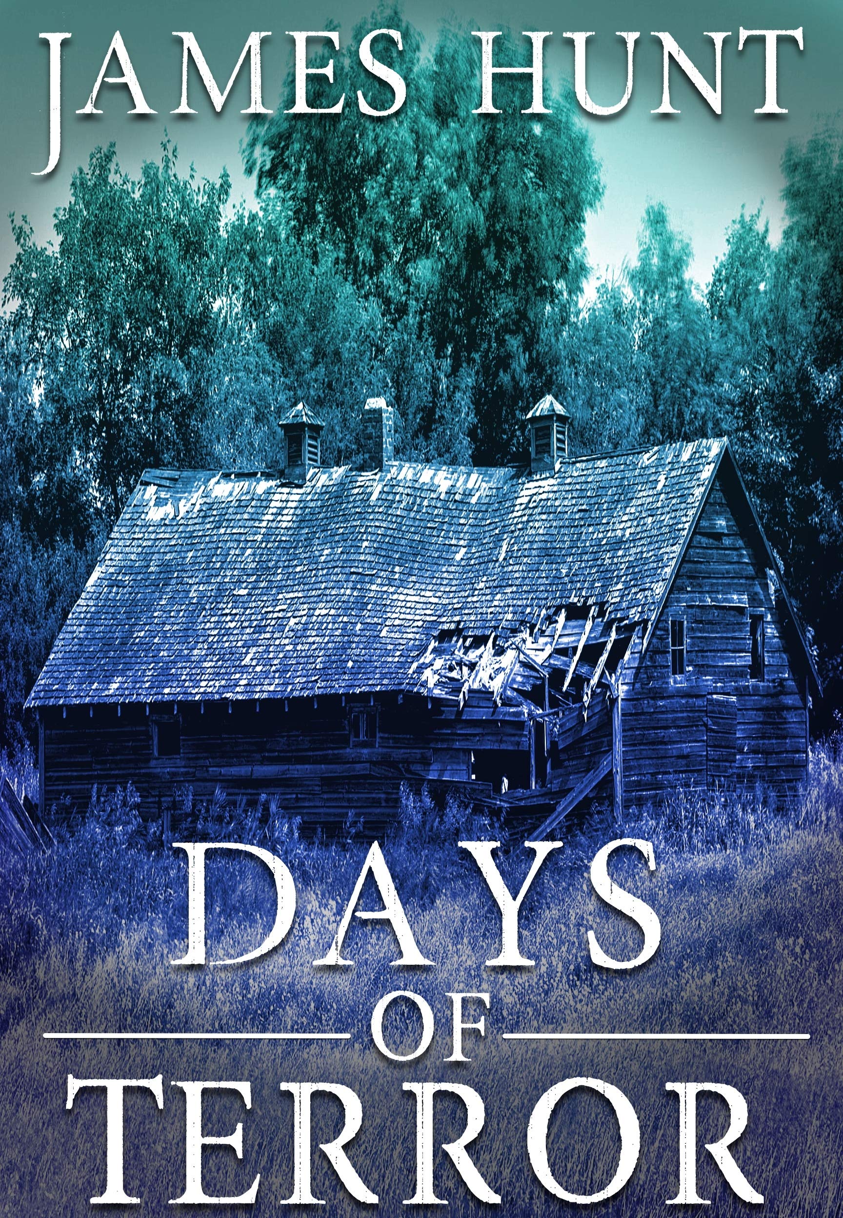 EMP Days of Terror book cover