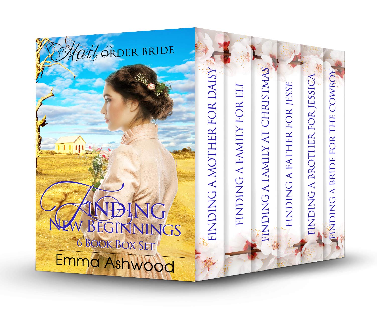 Finding New Beginnings book cover