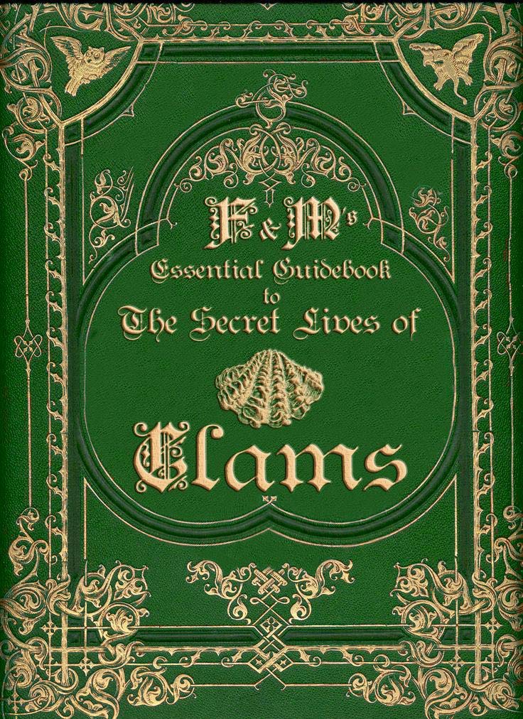The Essential Guidebook to the Secret Lives of Clams by Robert McGough