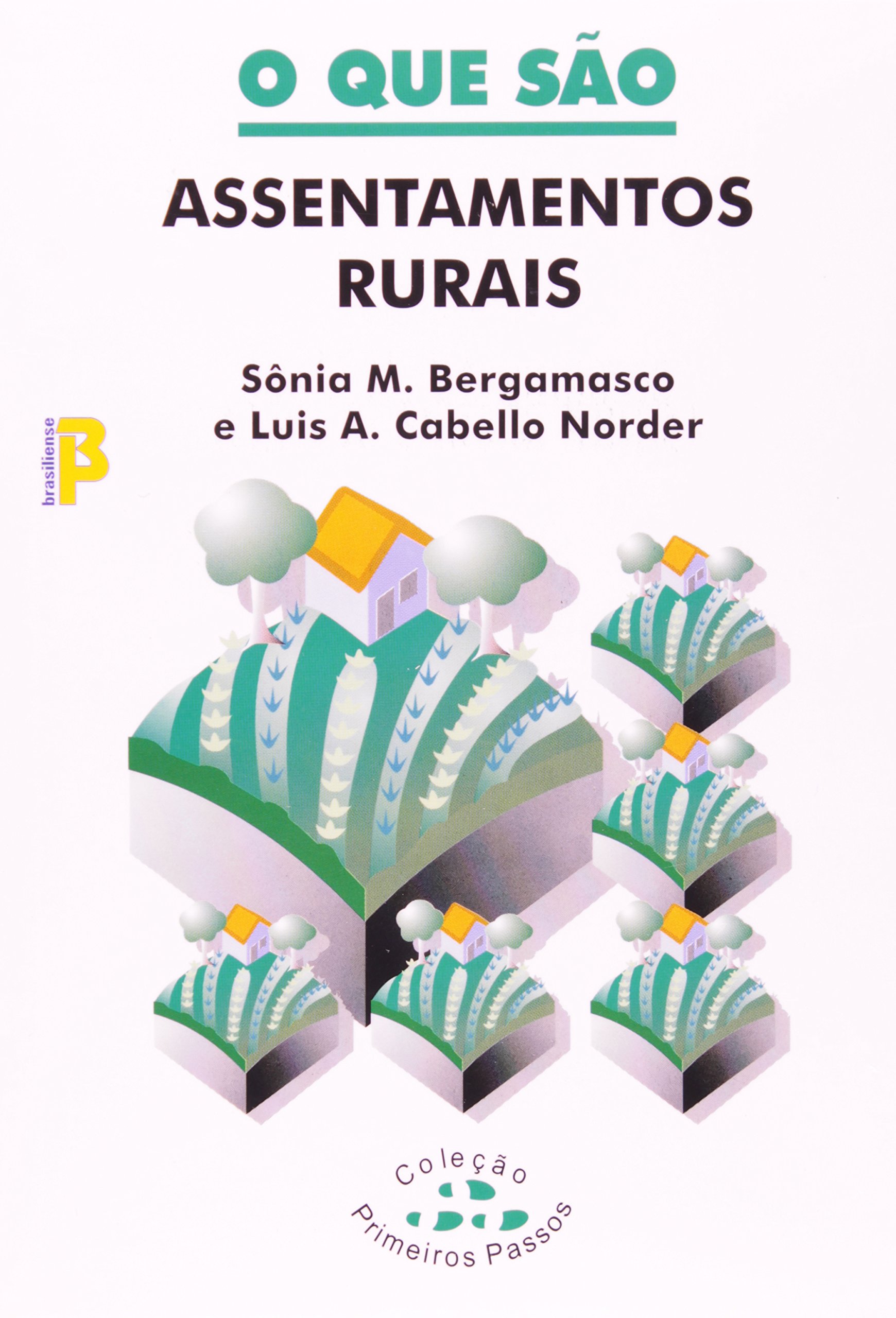 O que são Assentamentos Rurais book cover