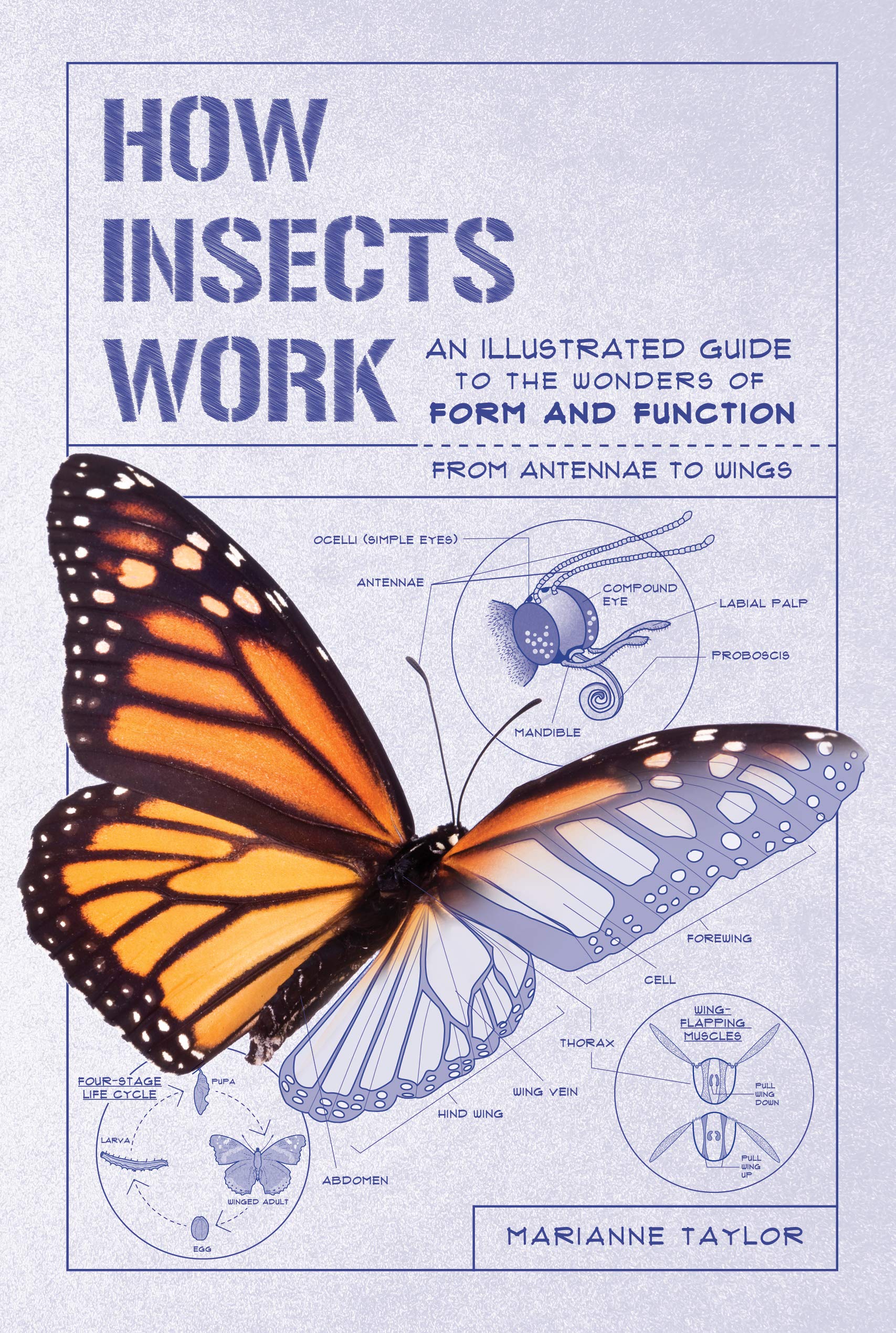 How Insects Work An Illustrated Guide to the Wonders of Form and Function from Antennae to