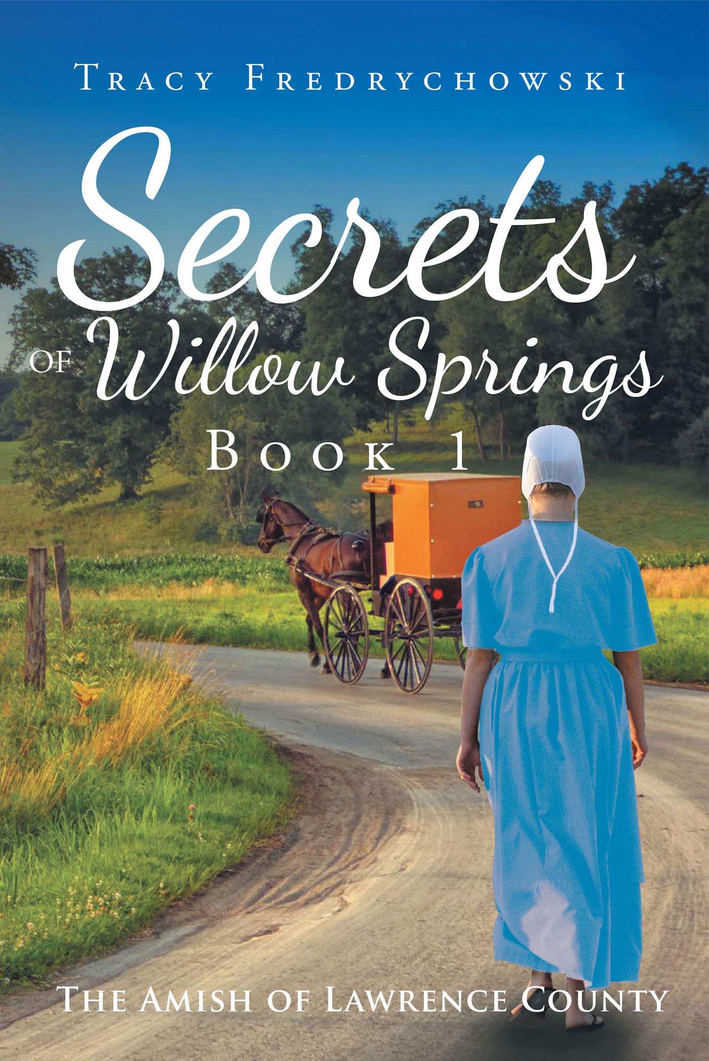 The Amish of Lawrence County book cover 1