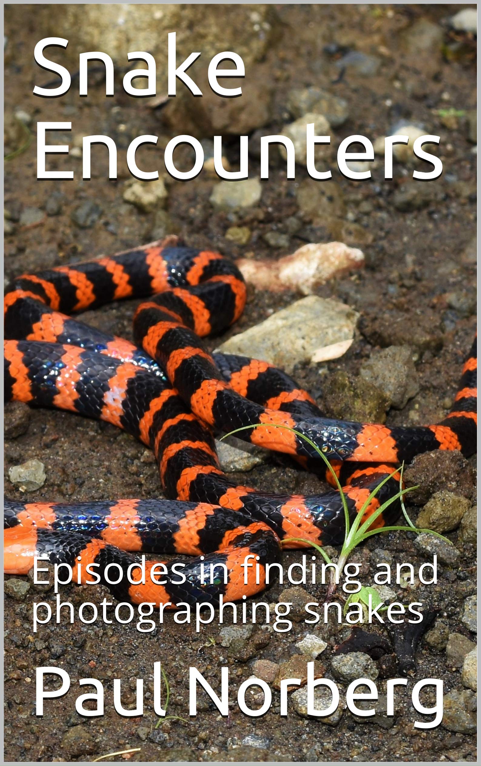 Snake Encounters: Episodes in finding and photographing snakes by Paul ...