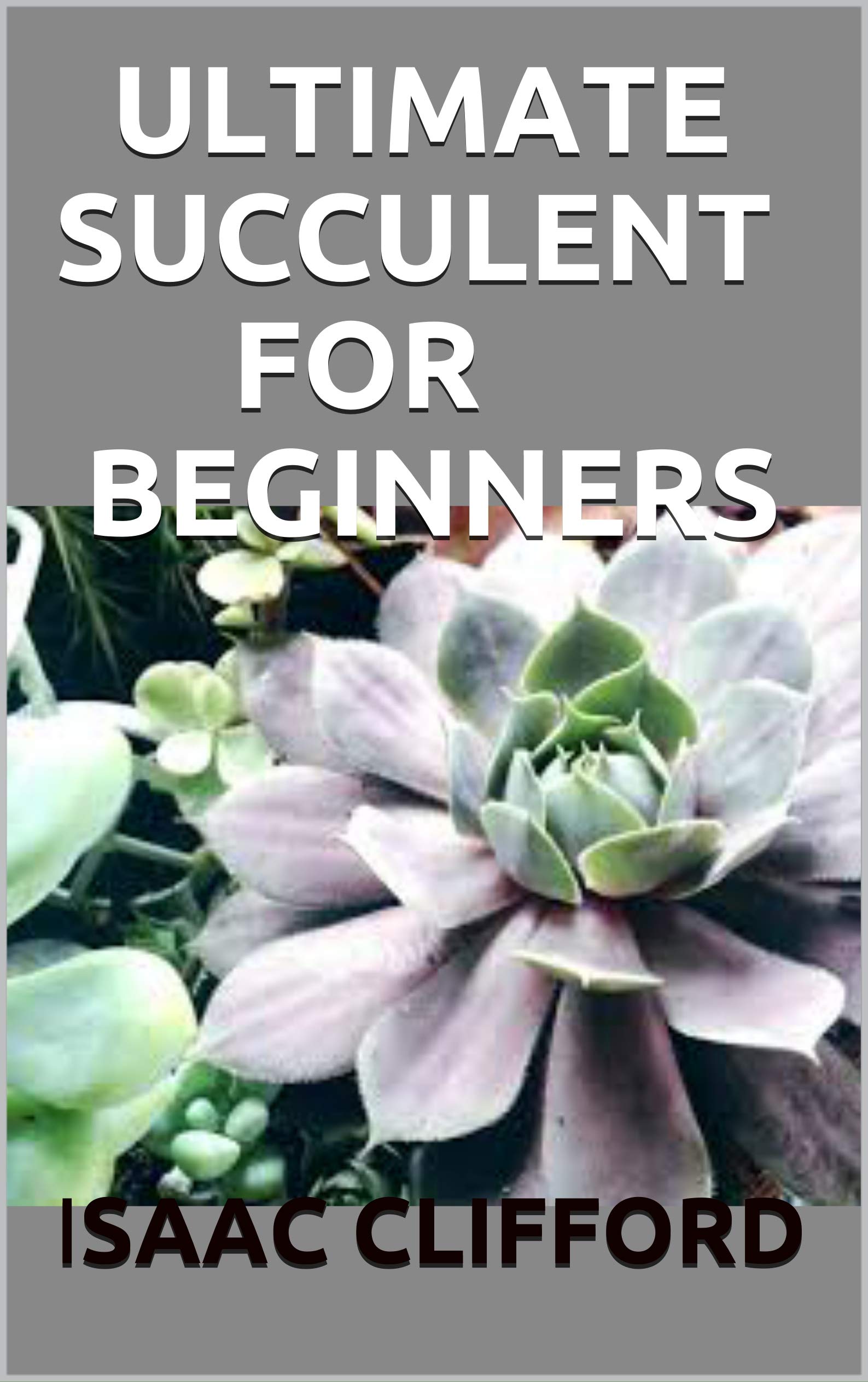 Ultimate Succulent for Beginners: The Simplified Guide for Growing ...