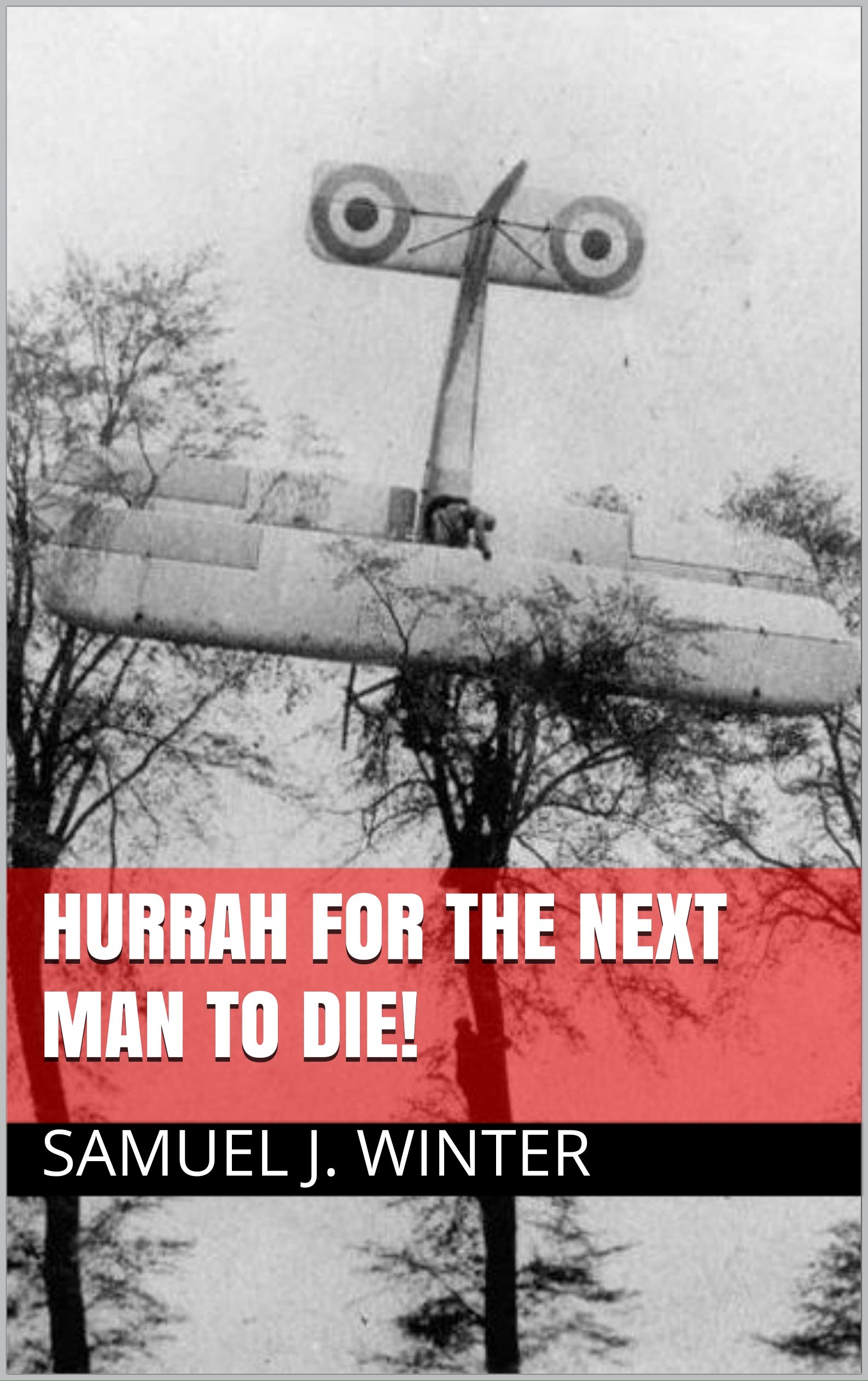 Hurrah for the Next Man to Die!