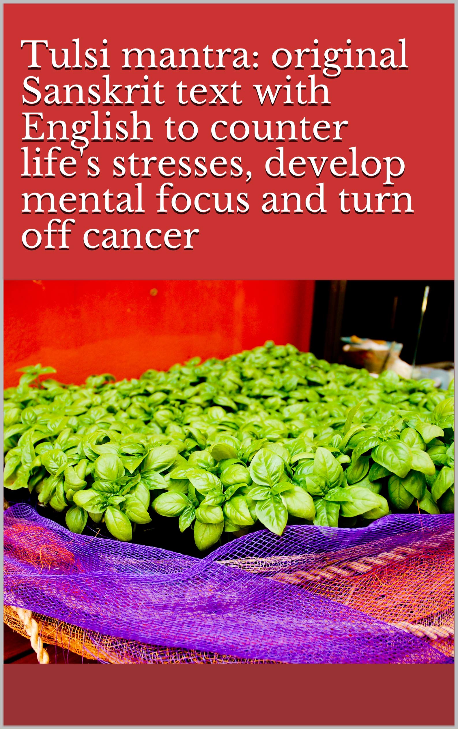 Tulsi Mantra Original Sanskrit Text With English To Counter Life s tulsi-mantra-original-sanskrit-text-with-english-to-counter-life-s