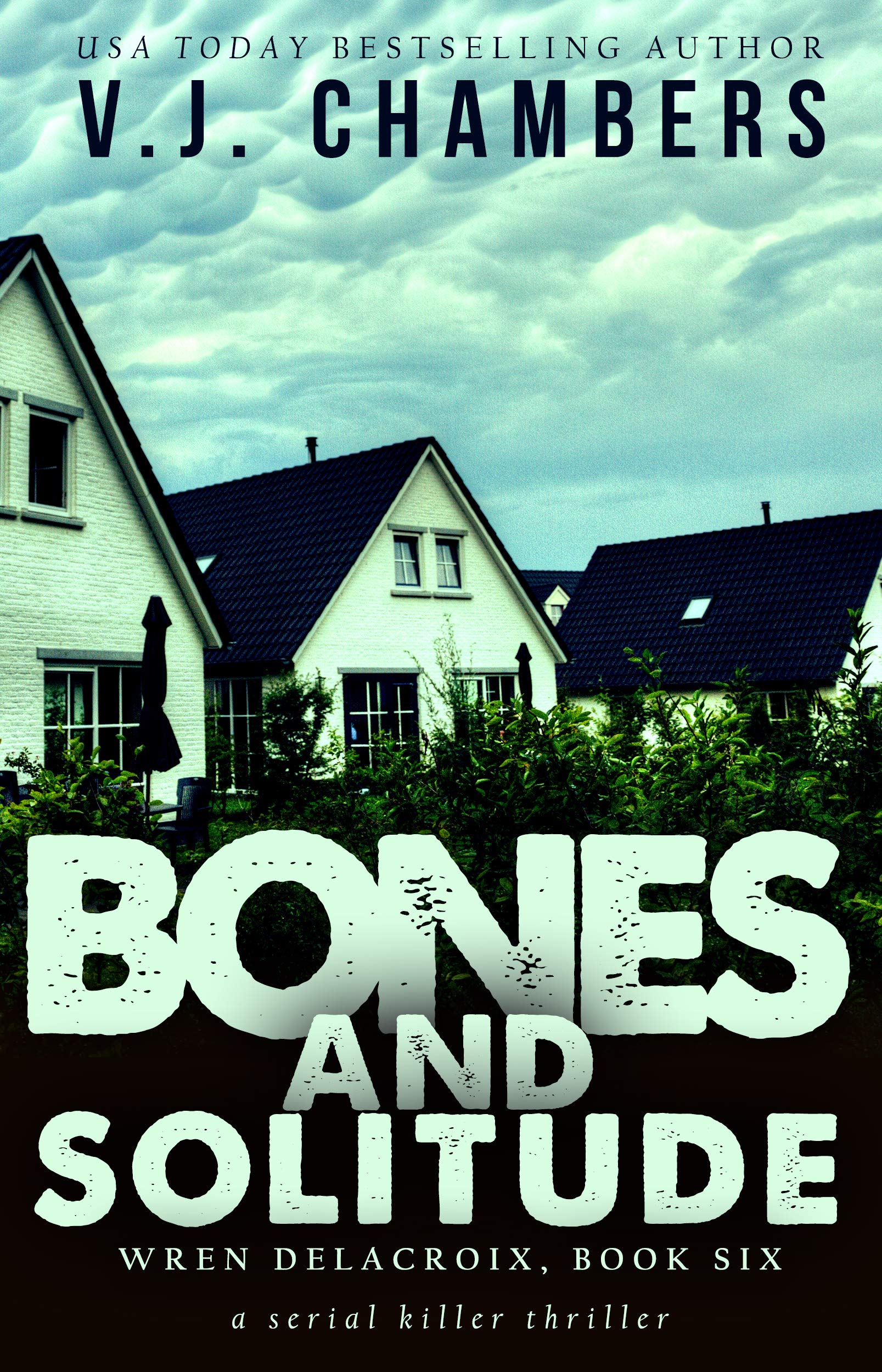 Bones and Solitude book cover