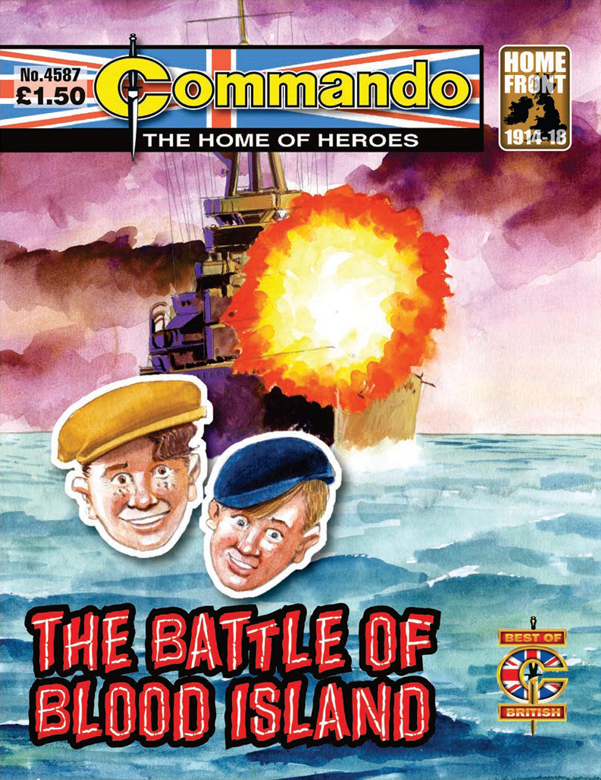 Commando #4587 book cover