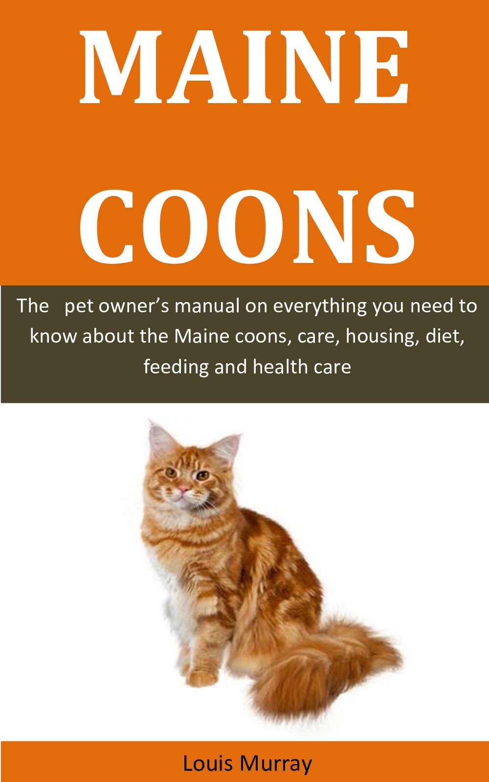 Maine Coons The pet owner’s manual on everything you need to know