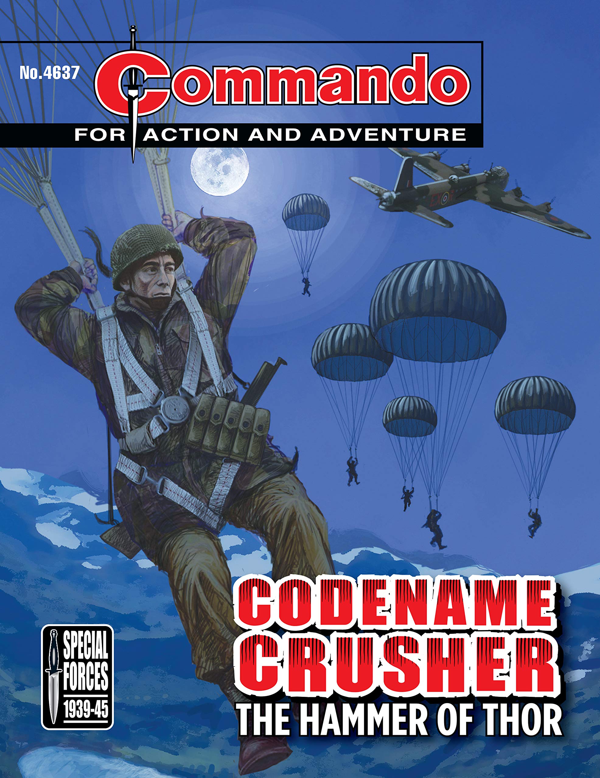 Commando #4637 book cover