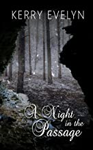 A Night in the Passage book cover
