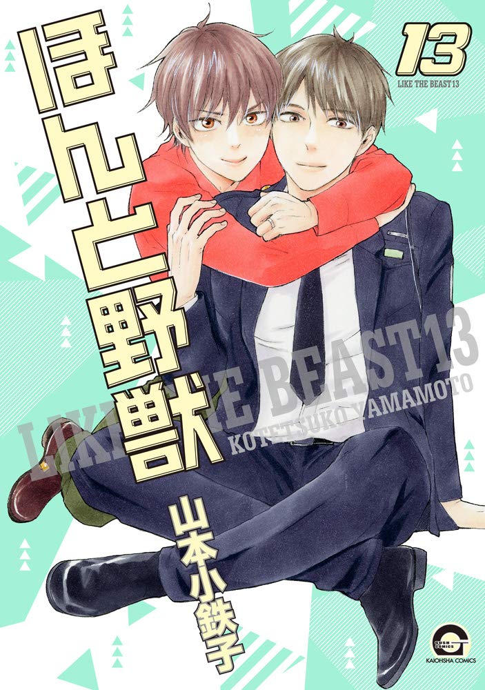 ほんと野獣 13 [Honto Yajuu 13] book cover