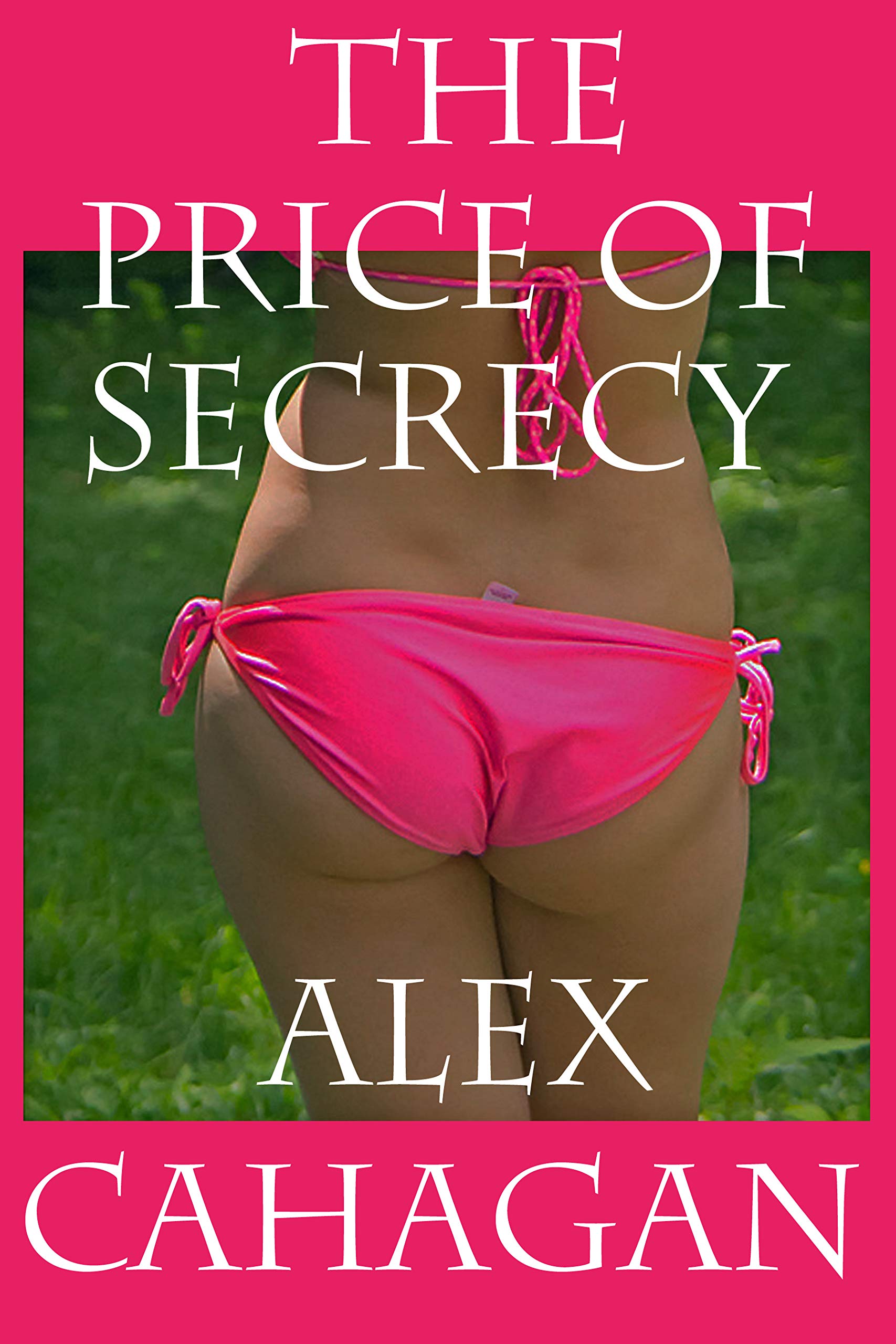 Puritycpl: The Price Of Secrecy - k4hydsa