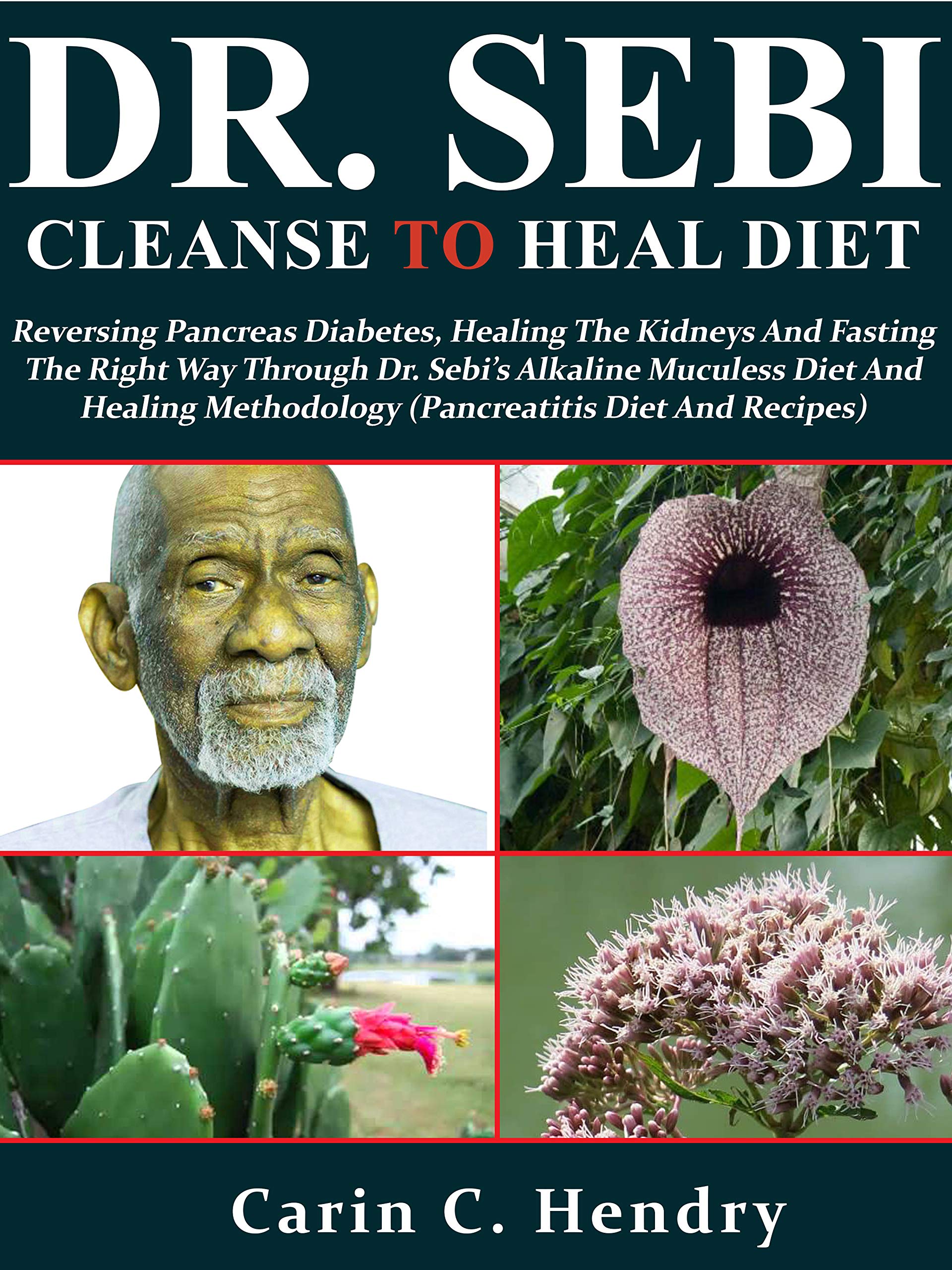 The Sweetest Medicine Pancreas Bakerys Recipes For Dietary Healing - 8ghuso4