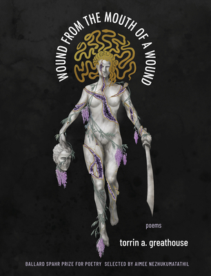 Wound from the Mouth of a Wound book cover