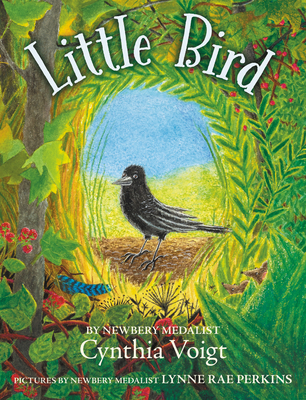 Little Bird book cover