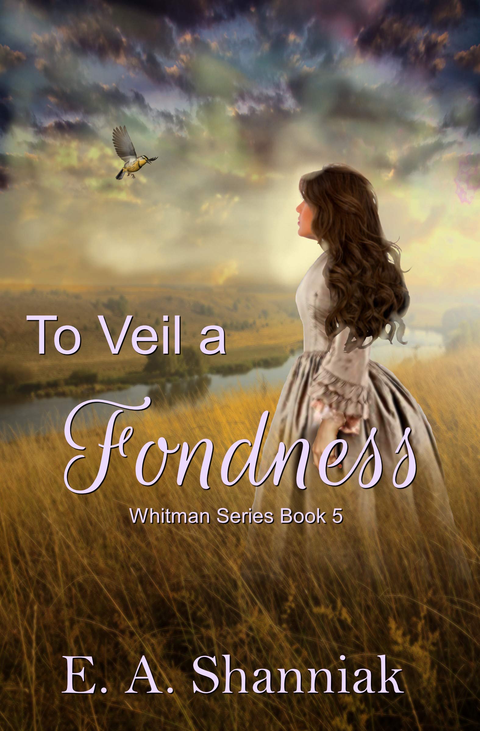 To Veil A Fondness book cover
