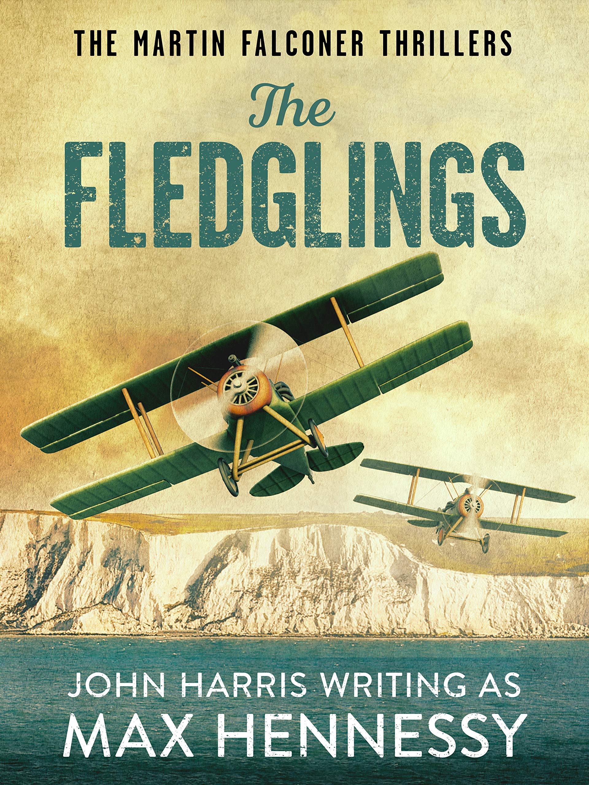 The Fledglings