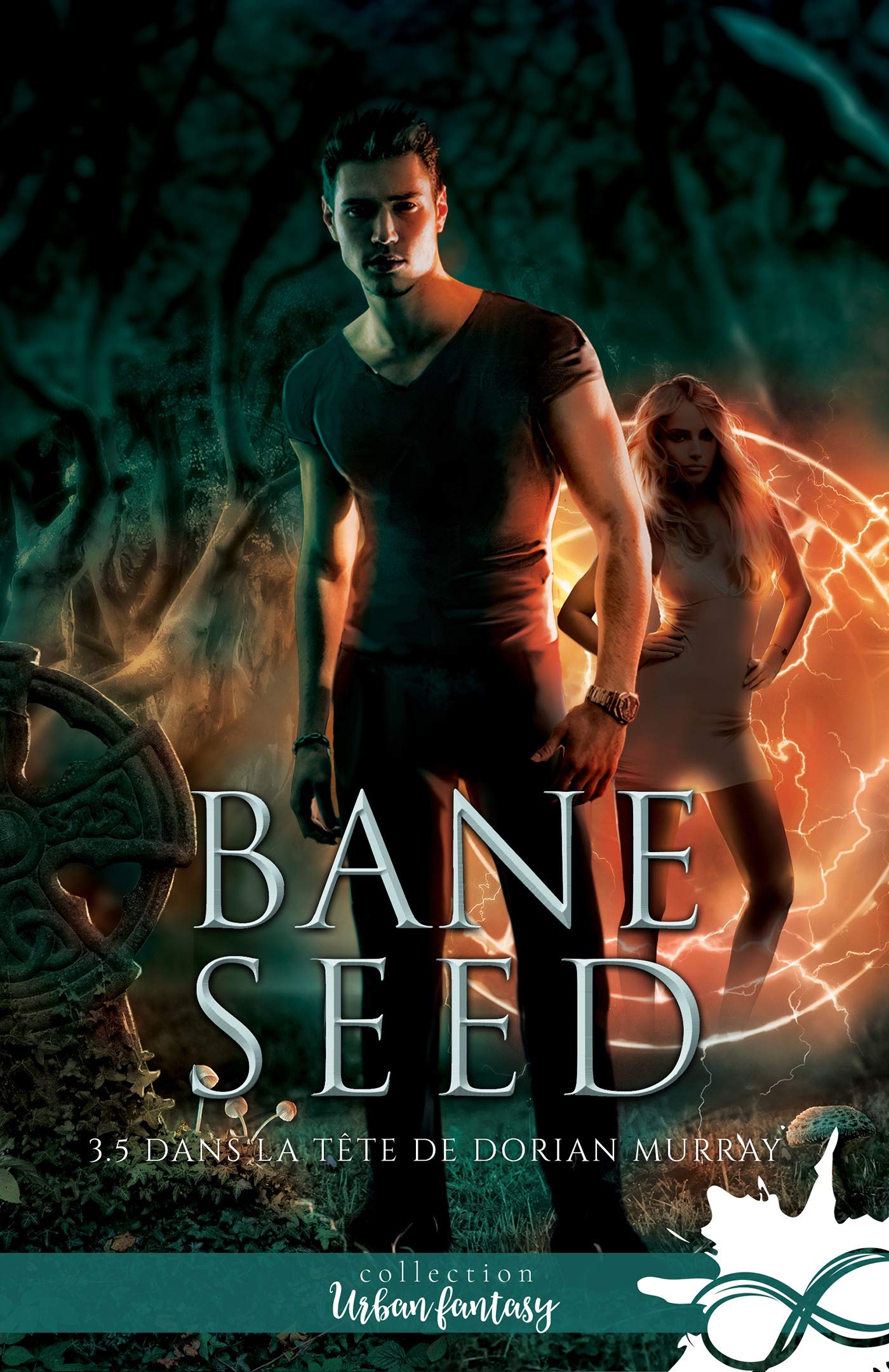 Dans la tête de Dorian Murray book cover