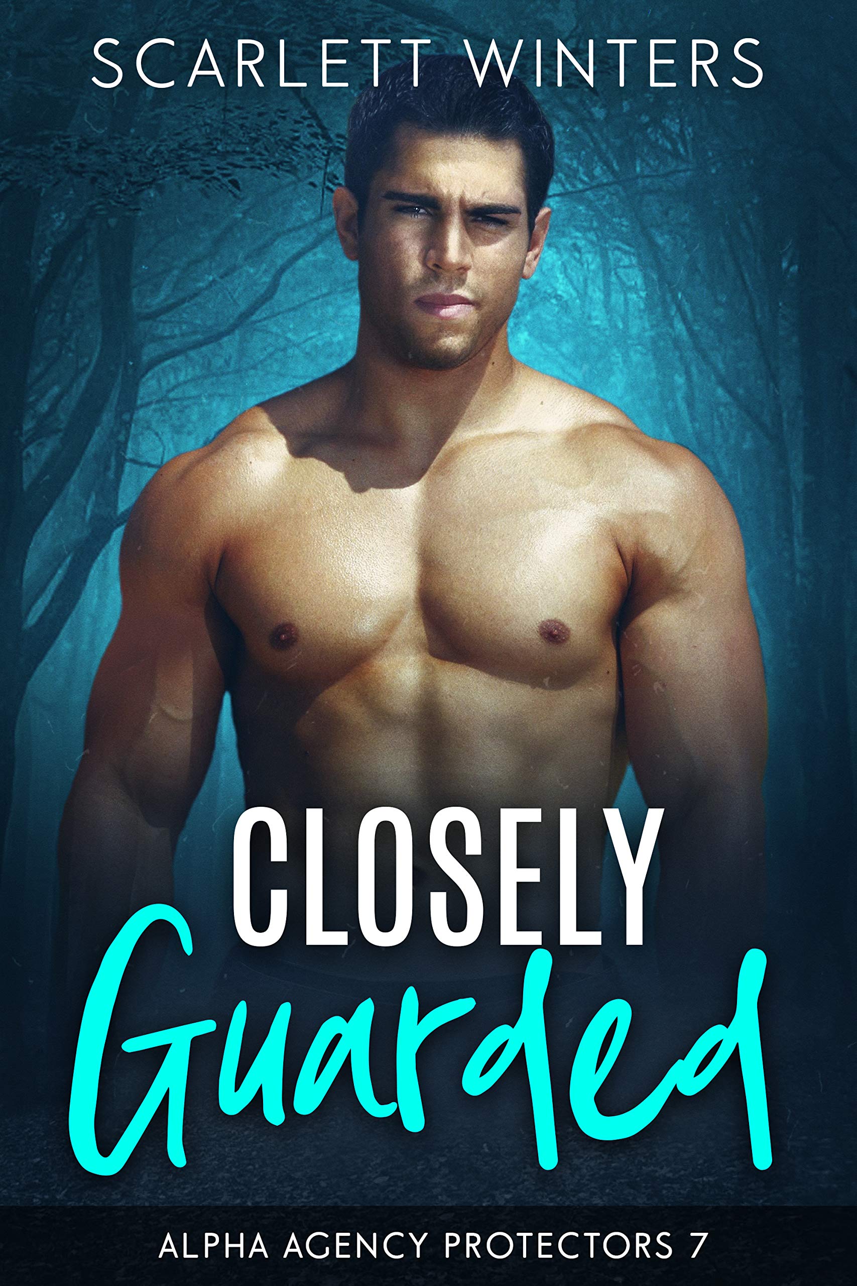 Closely Guarded book cover