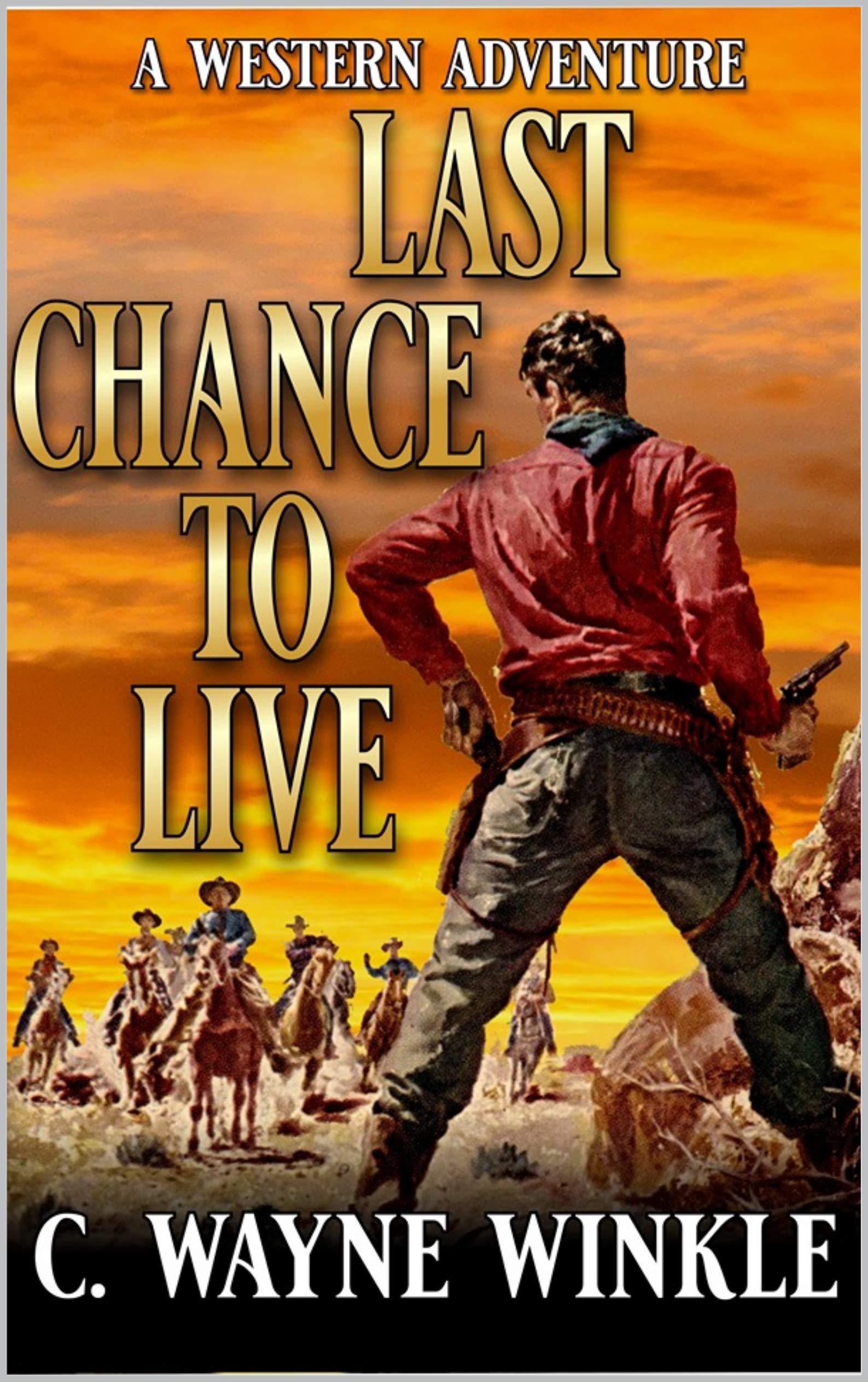 Last Chance To Live book cover