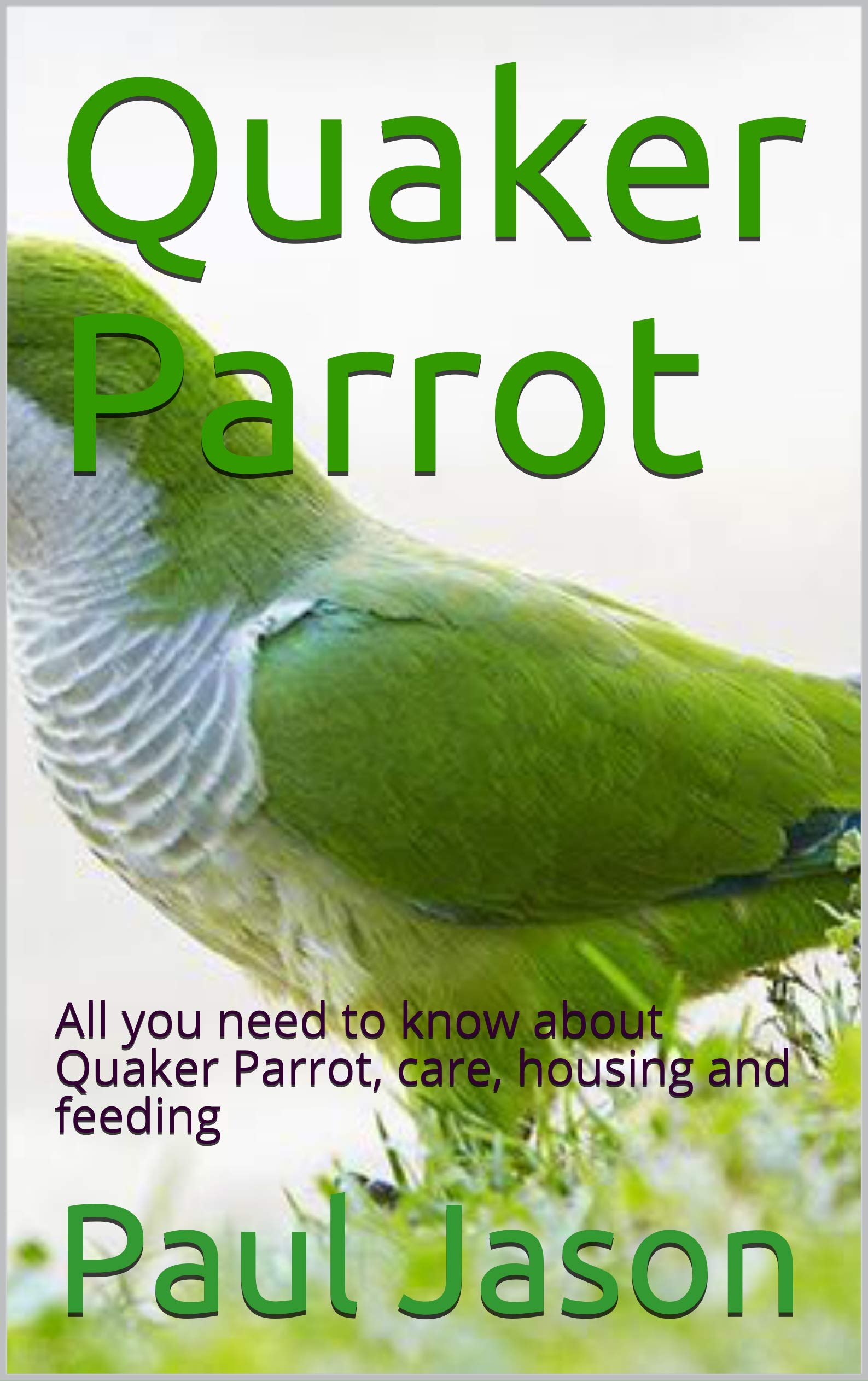 Quaker Parrot All you need to know about Quaker Parrot, care, housing