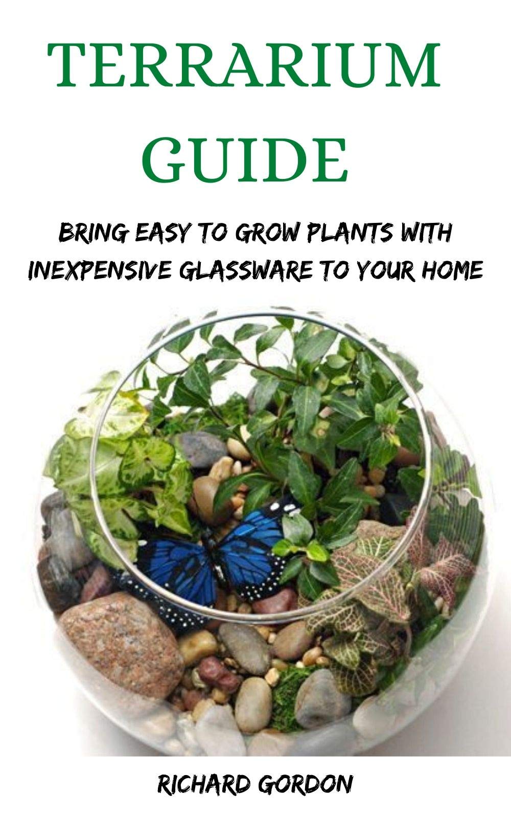 TERRARIUM GUIDE Bring Easy To Grow Plants With Inexpensive Glassware