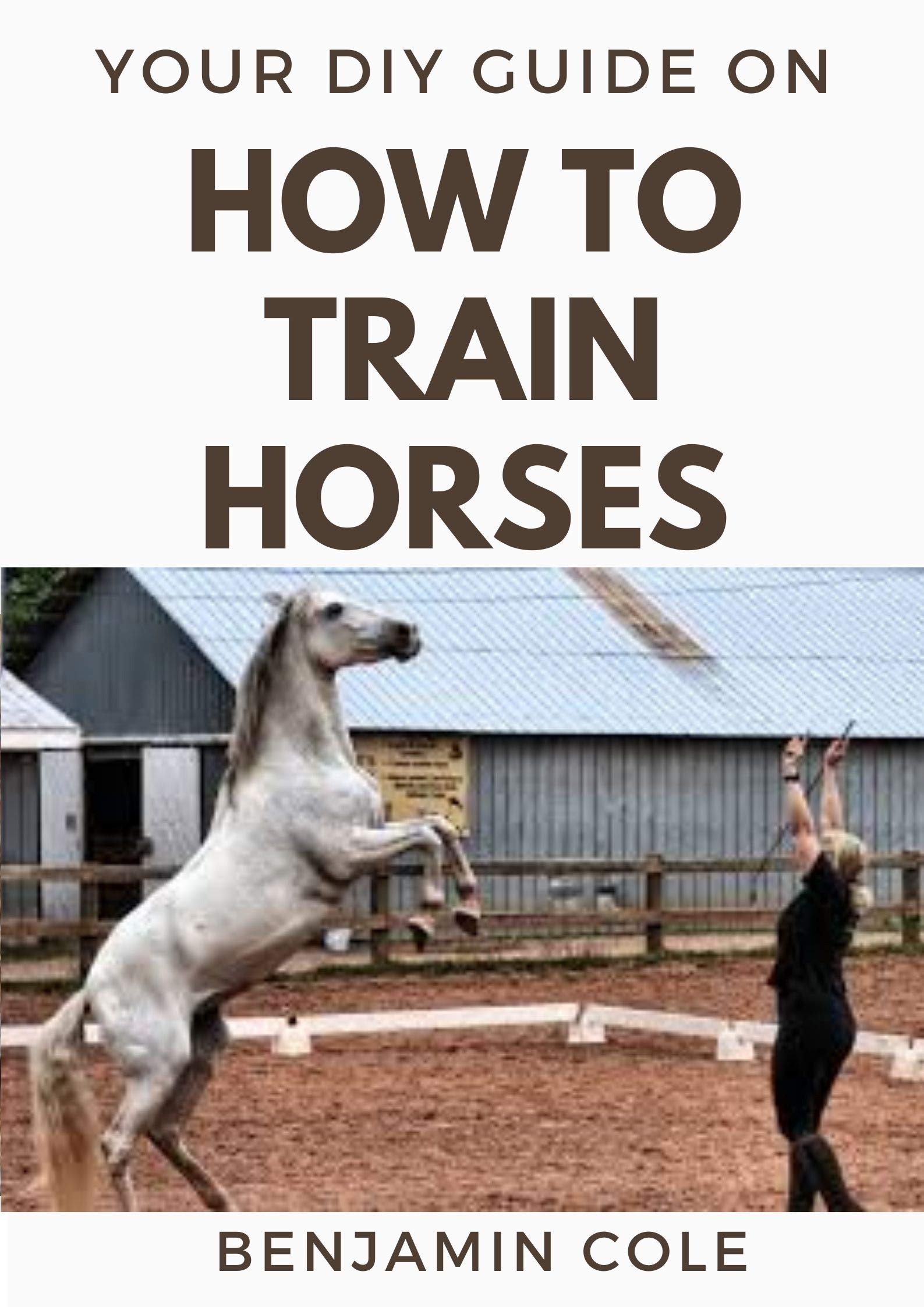 Your DIY Guide on How To Train Horses Perfect Manual to training your