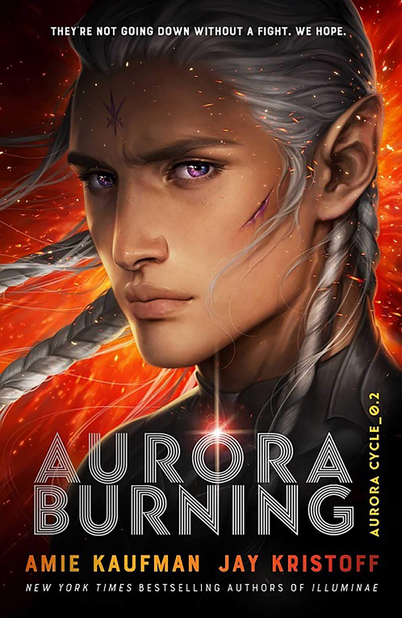 Aurora Burning: (The Aurora Cycle)
