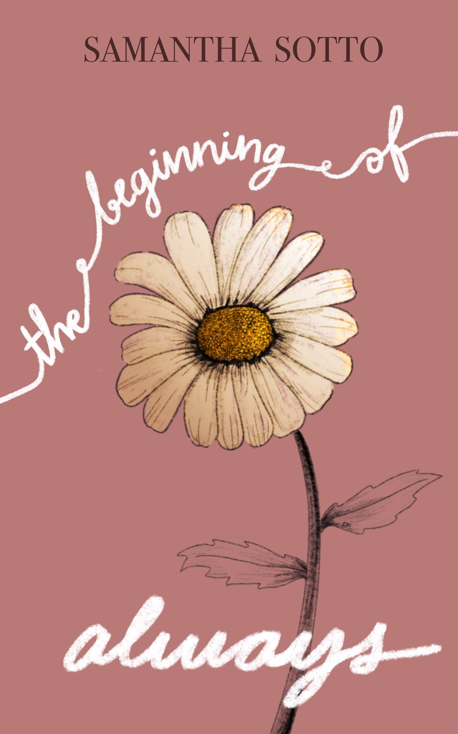 The Beginning of Always book cover